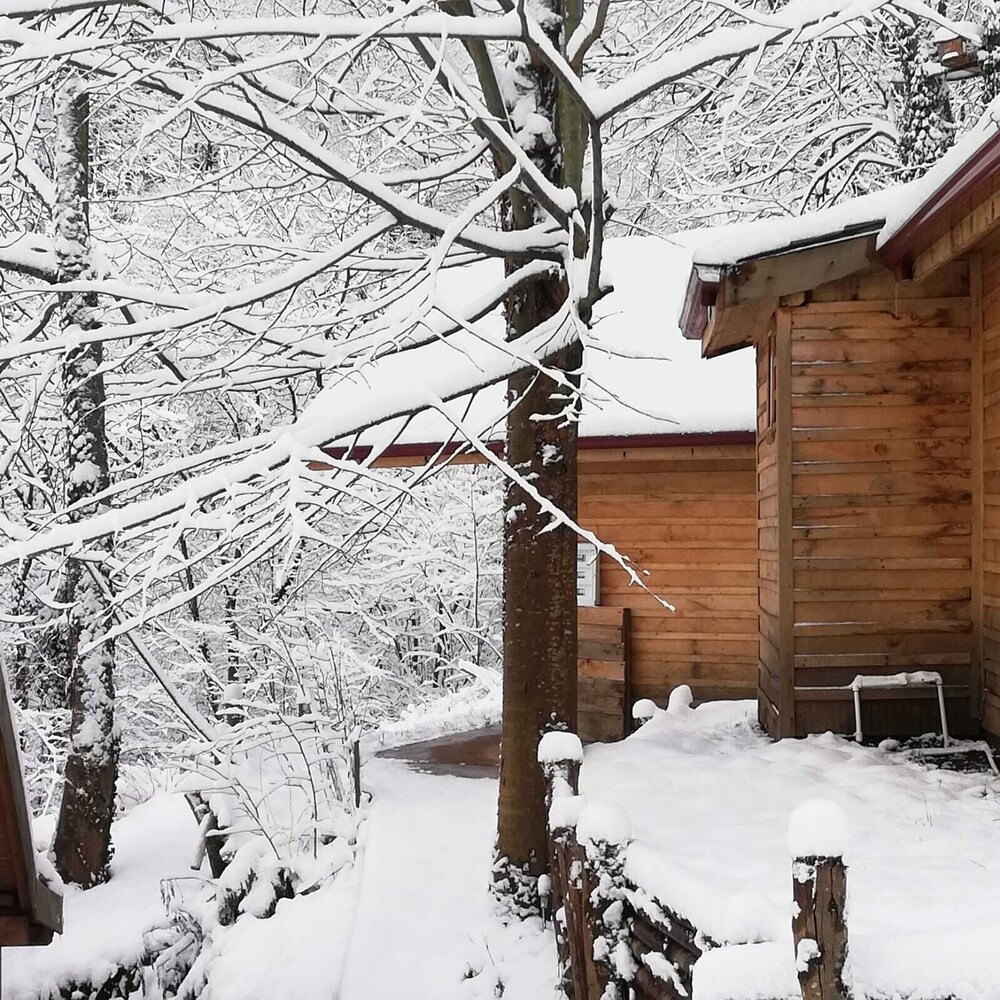 Yesil Dus Vadisi Bungalow Restoran