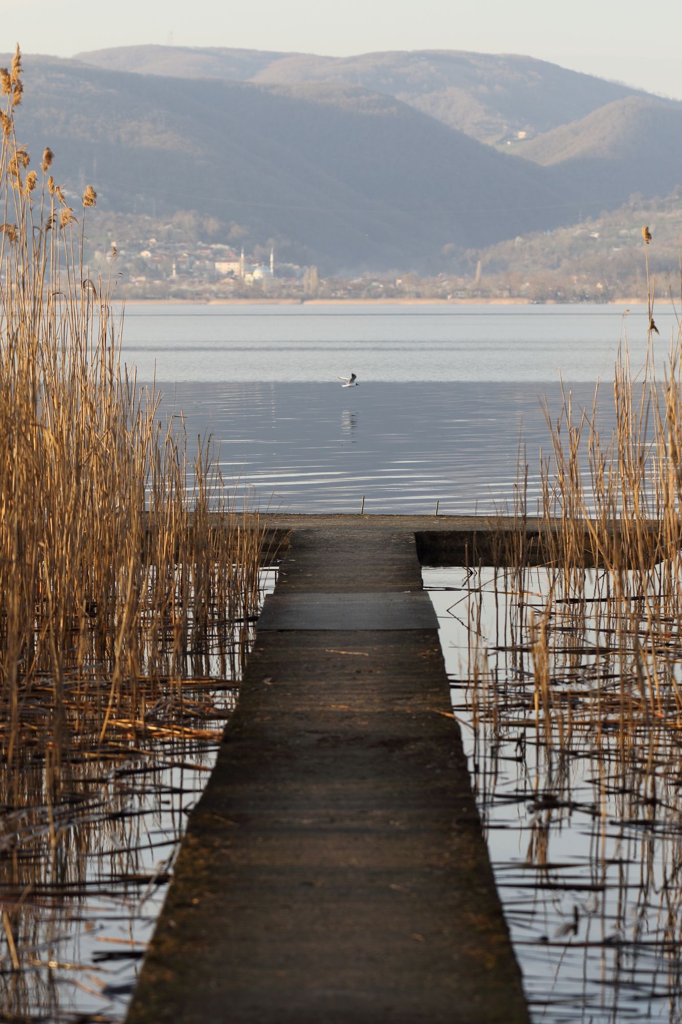 Beta Home Lake House