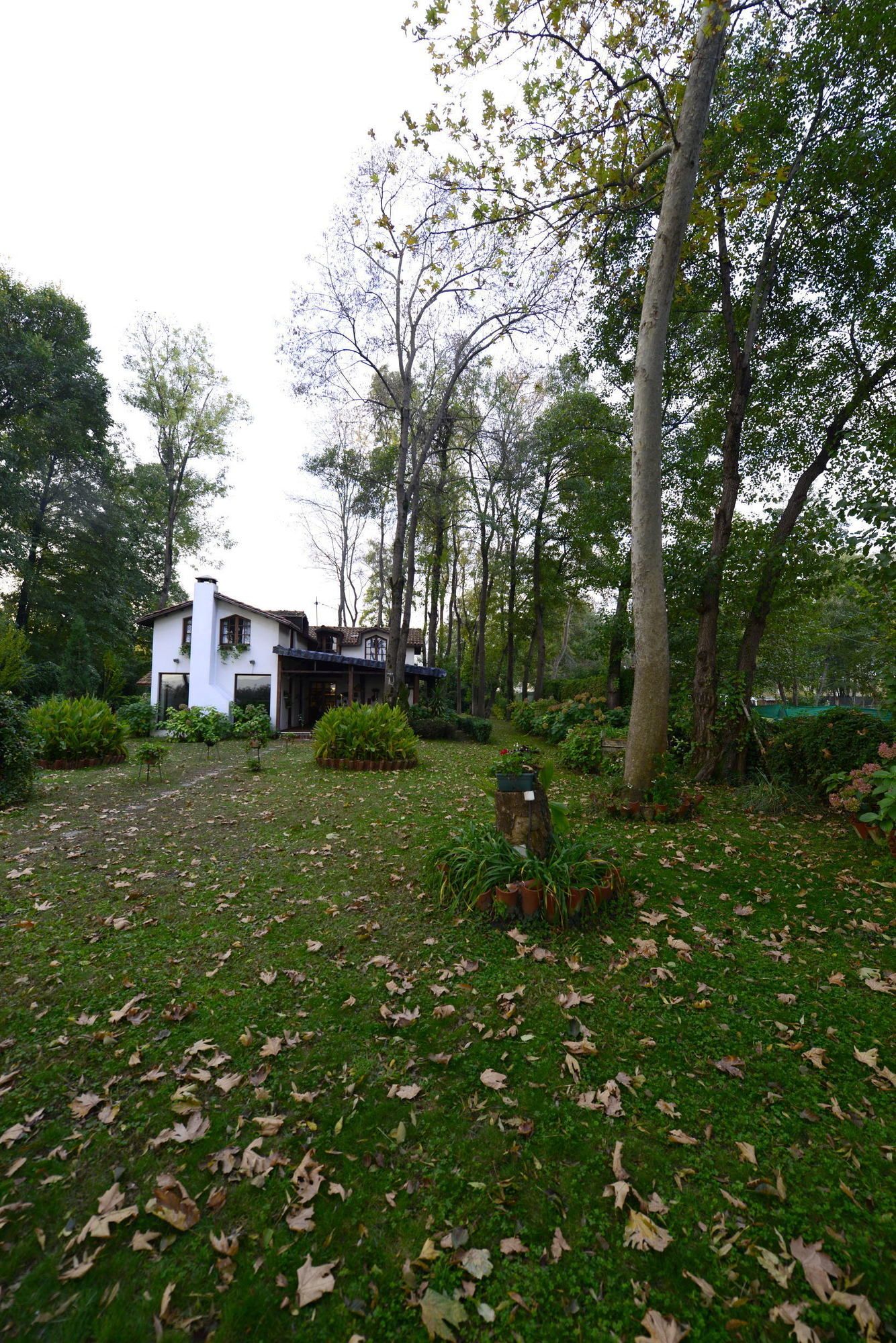 Beta Home Lake House