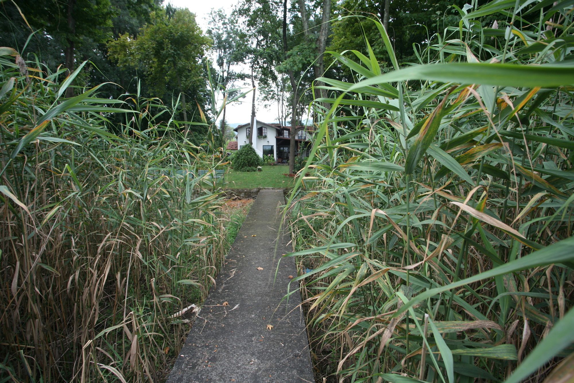 Beta Home Lake House