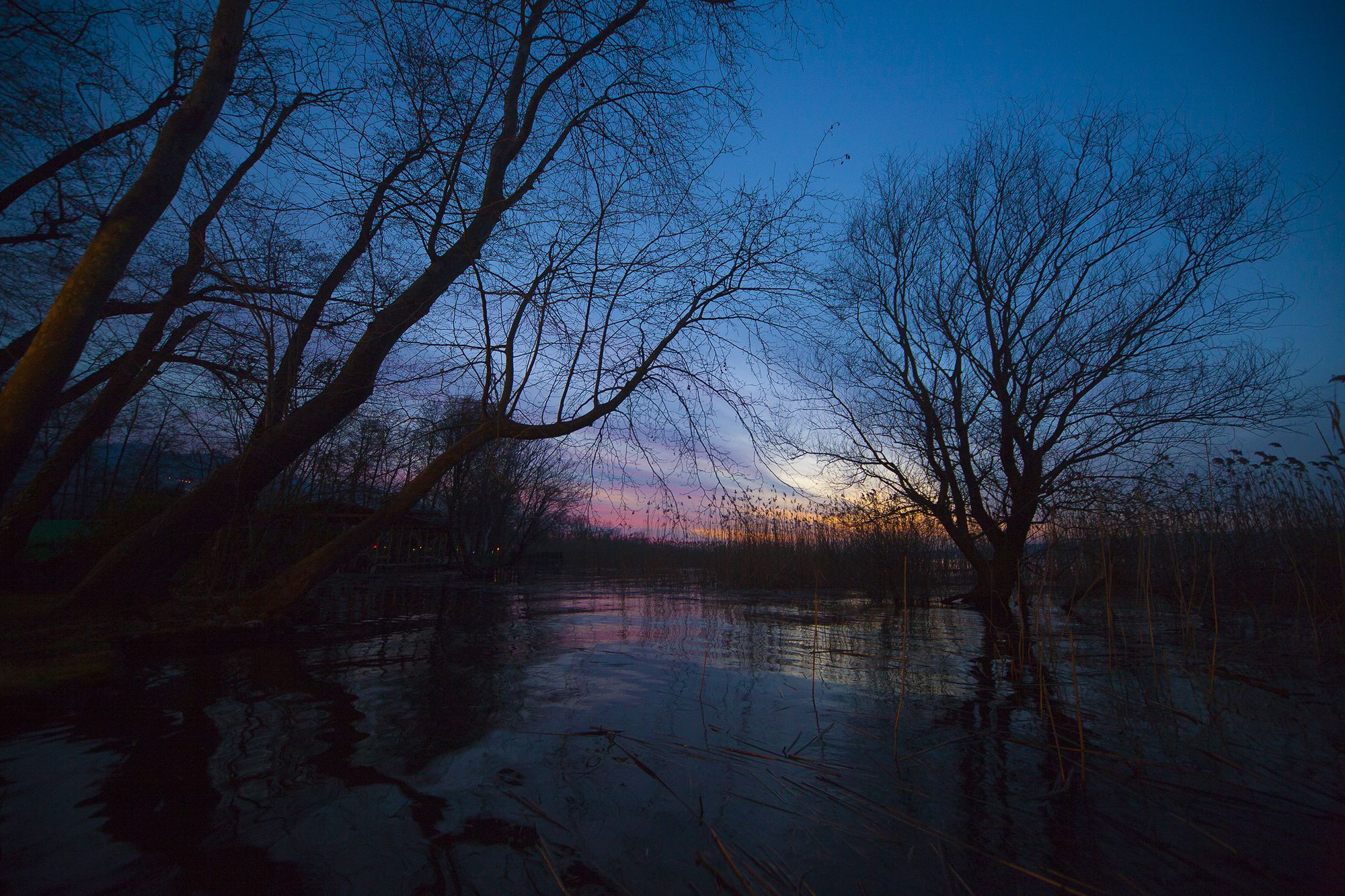 Beta Home Lake House