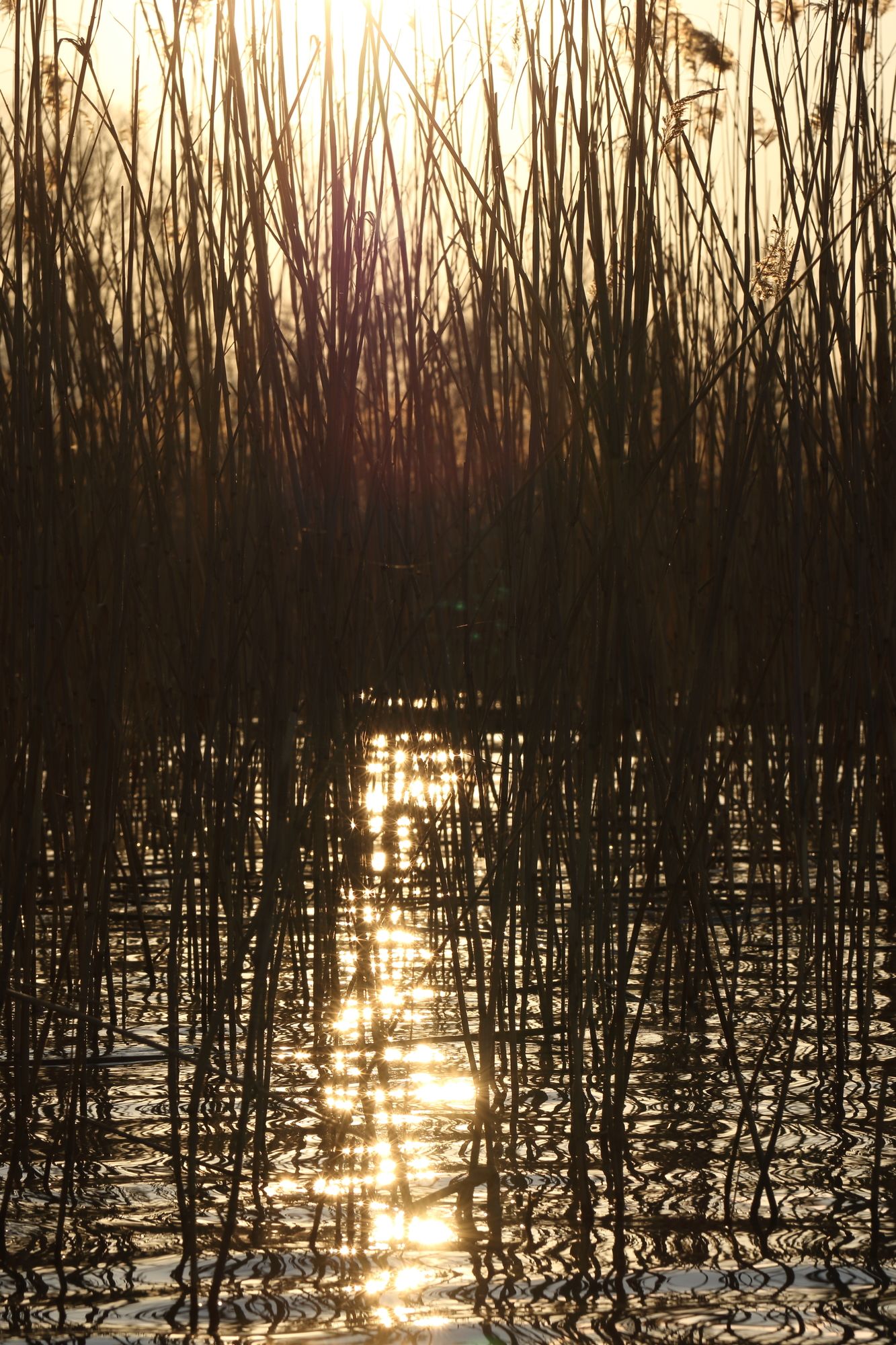 Beta Home Lake House