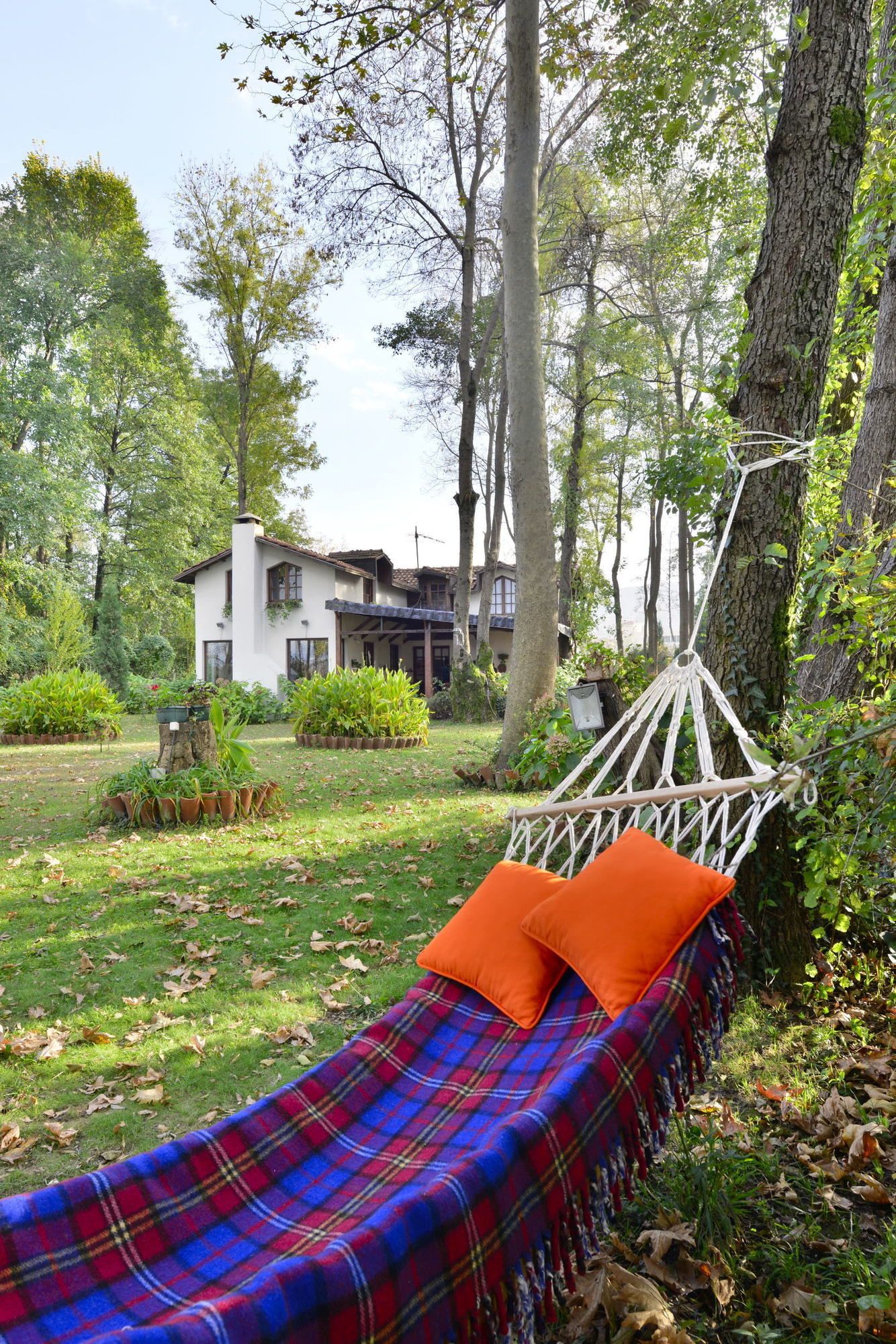 Beta Home Lake House