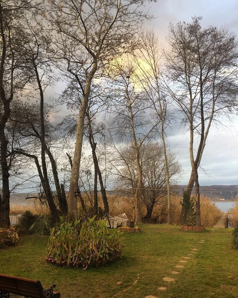 Beta Home Lake House