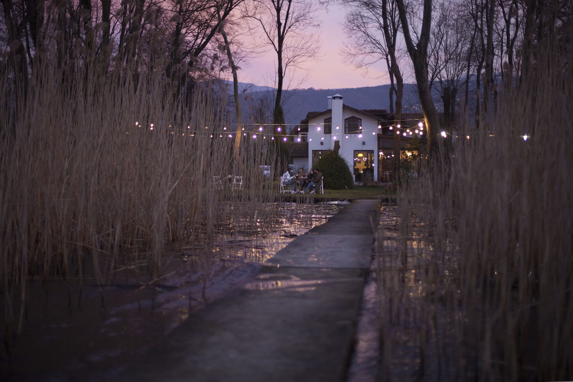 Beta Home Lake House