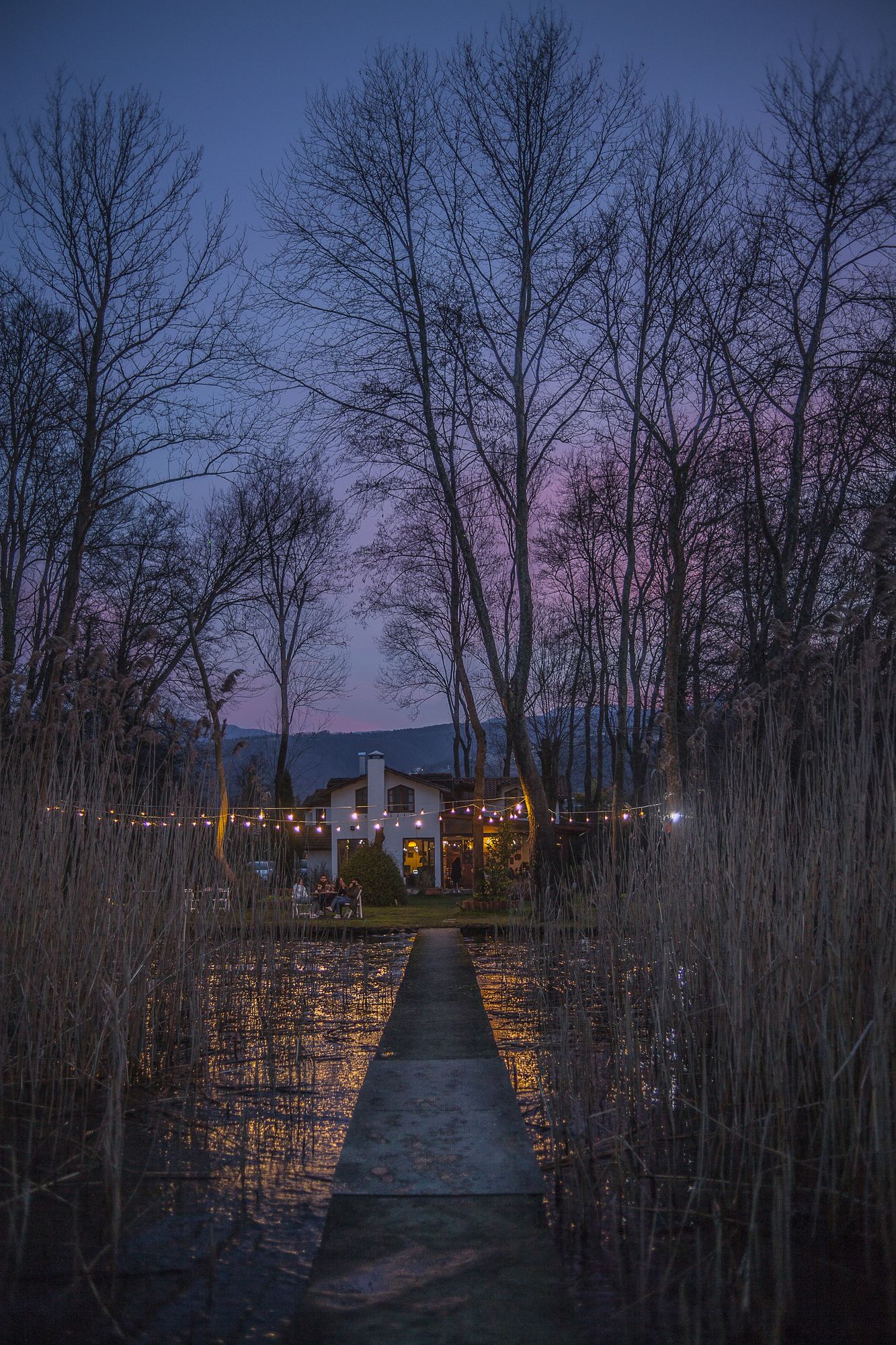 Beta Home Lake House