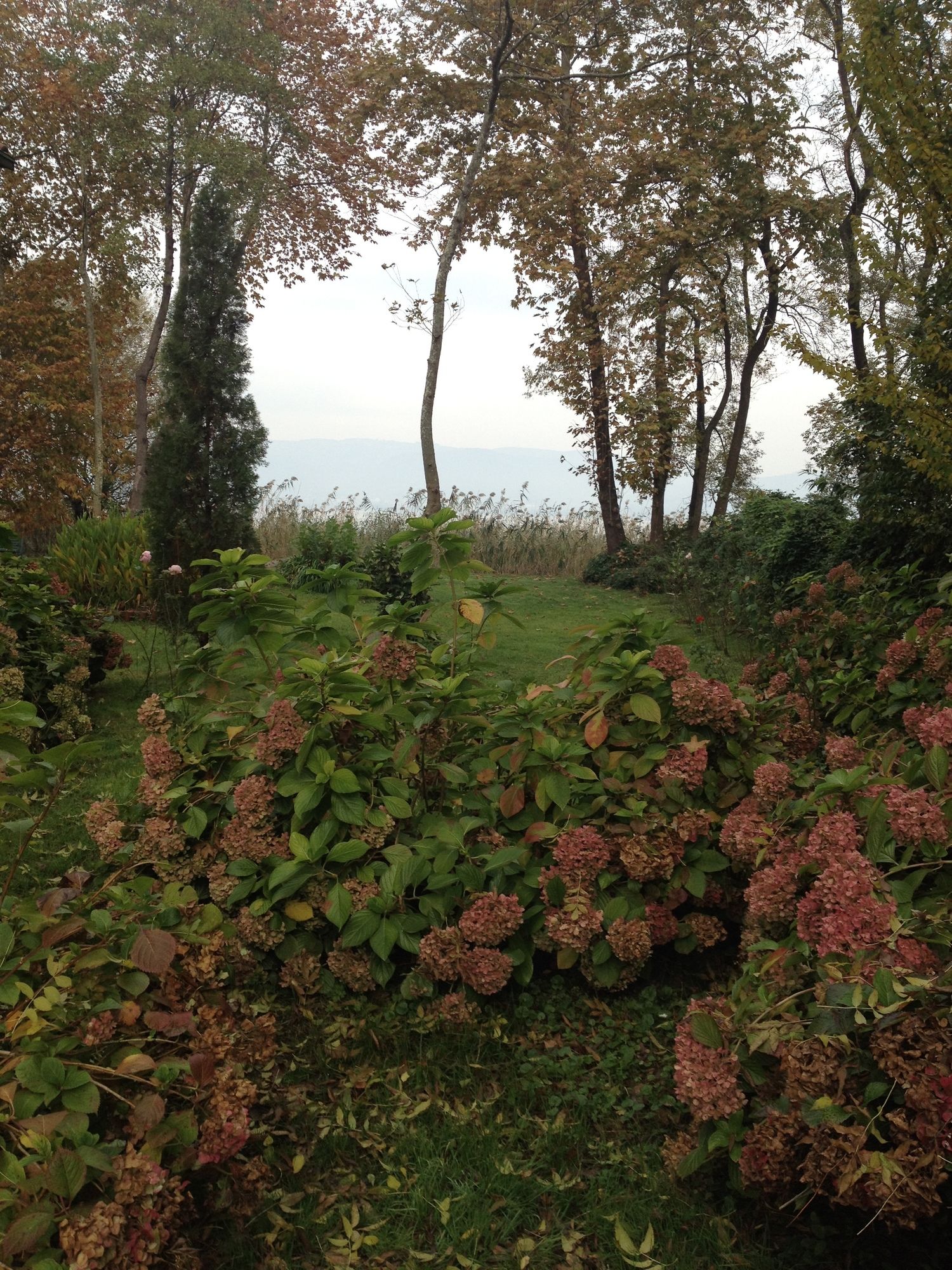 Beta Home Lake House