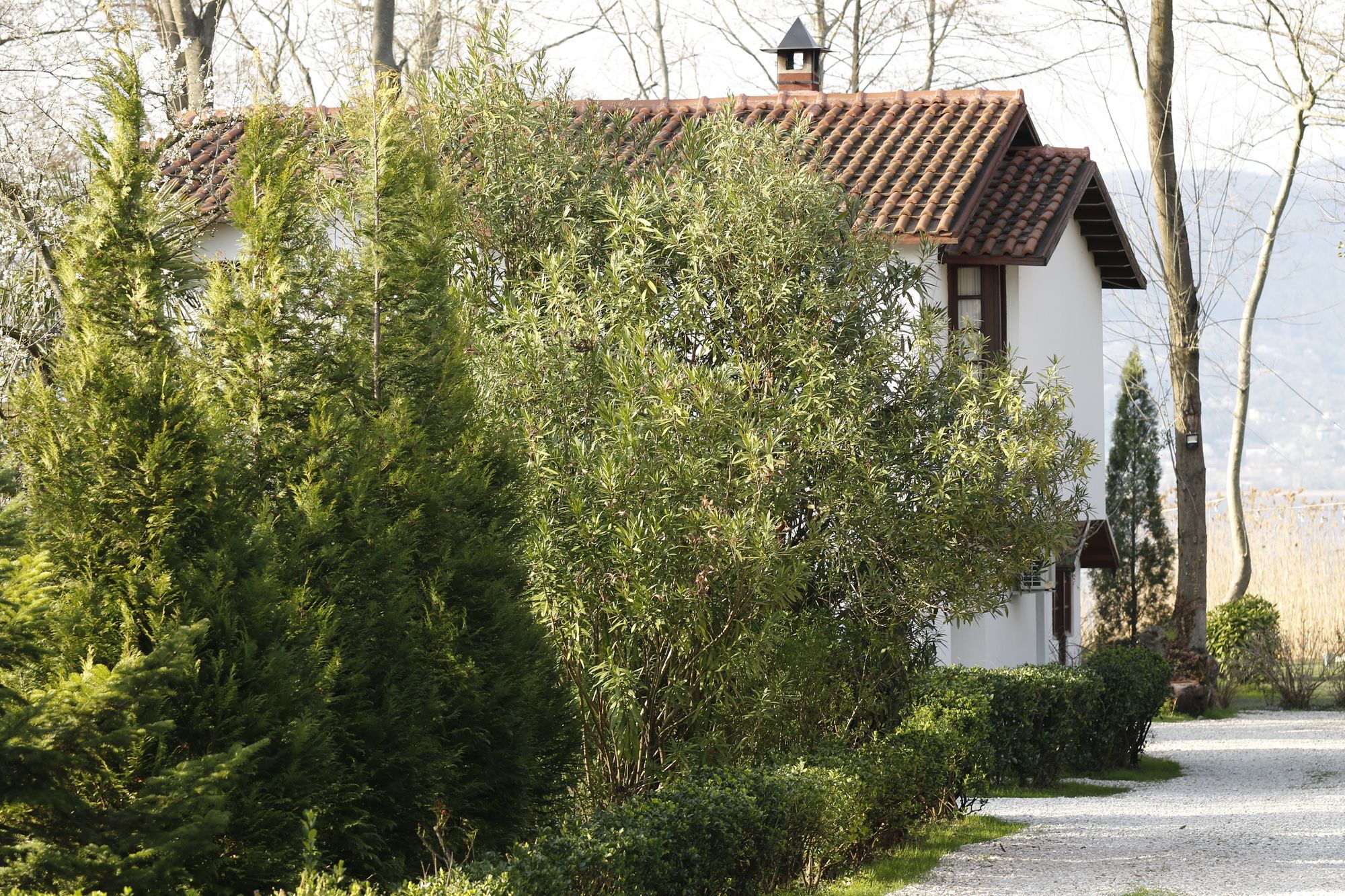 Beta Home Lake House