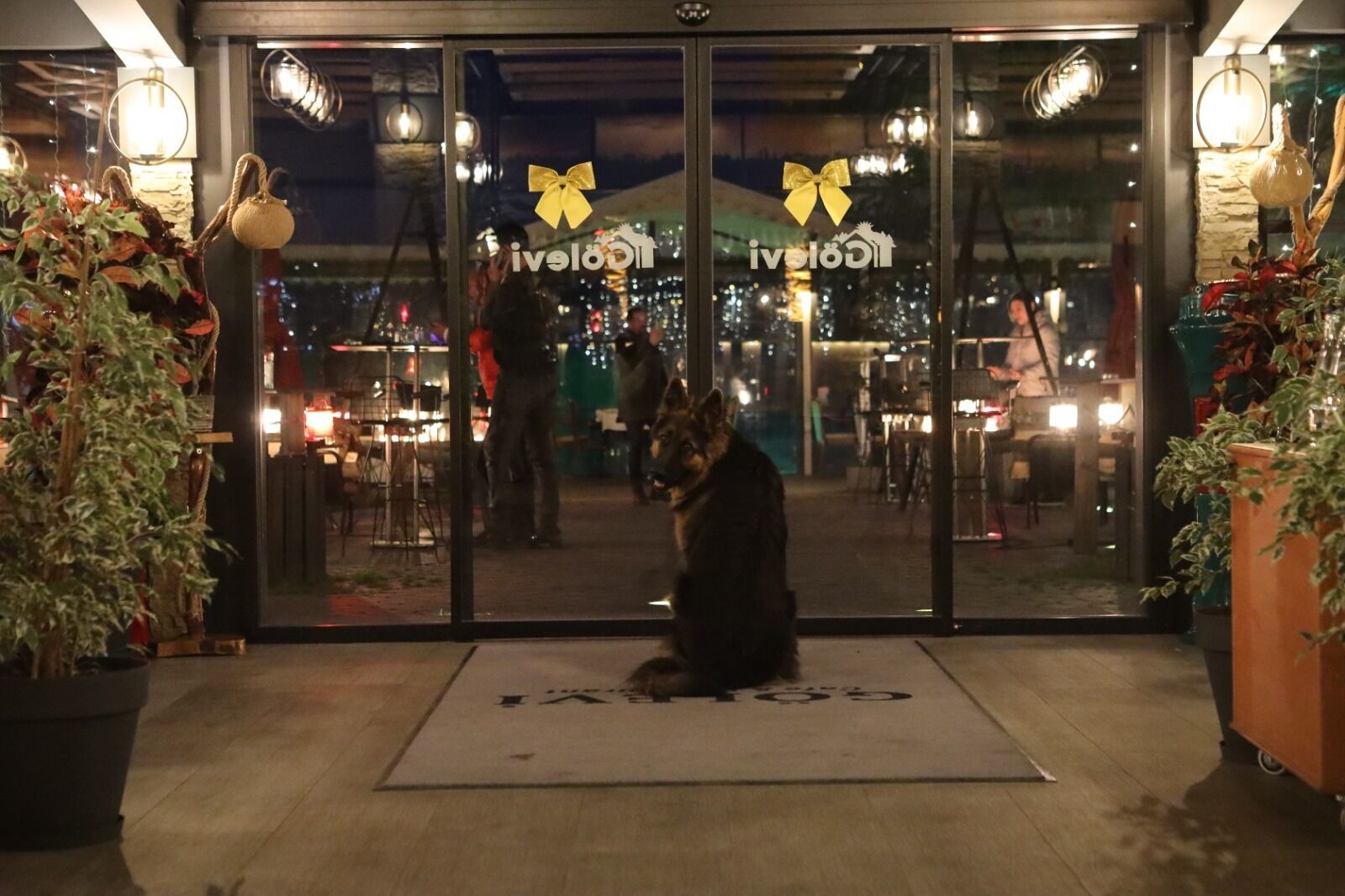 Gölevi Resort Sapanca