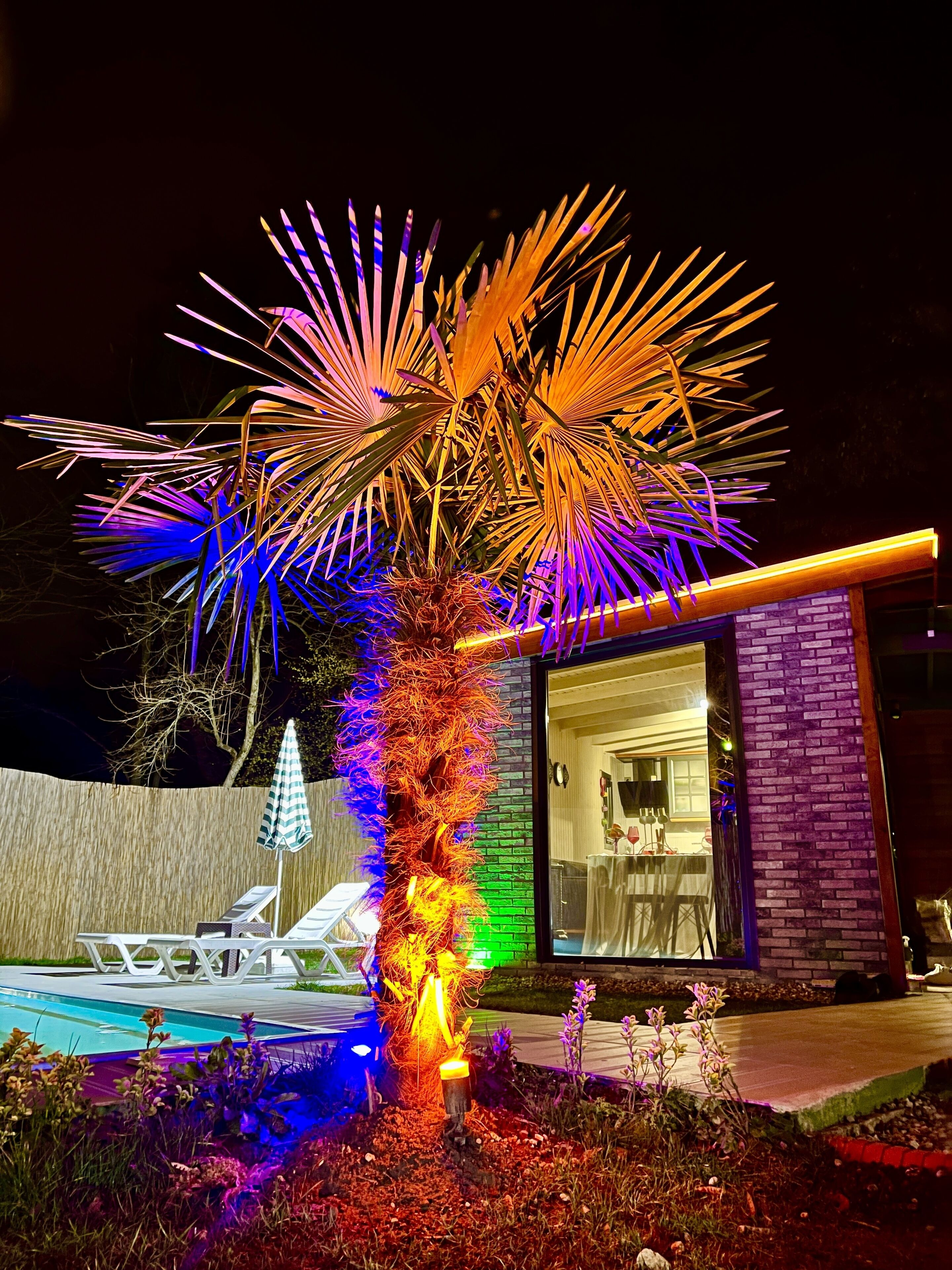 Sapanca Dream Houses 2