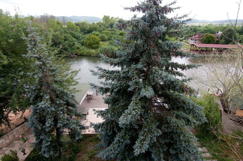 Agva Nehir Evi Butik Hotel