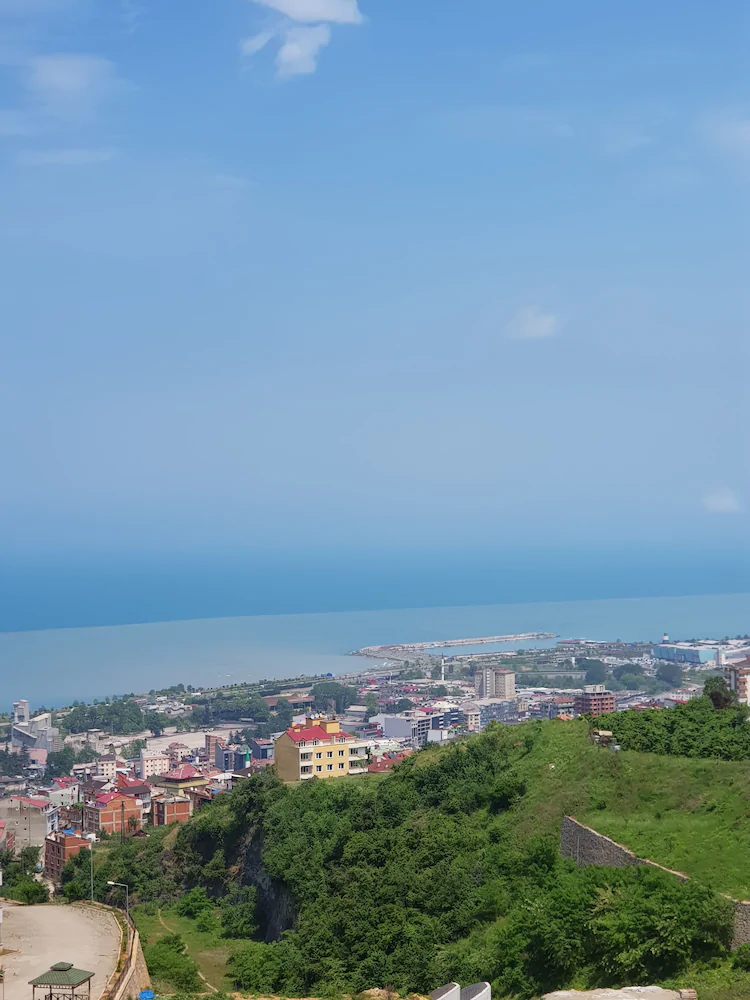 Alsaleh Group Evleri