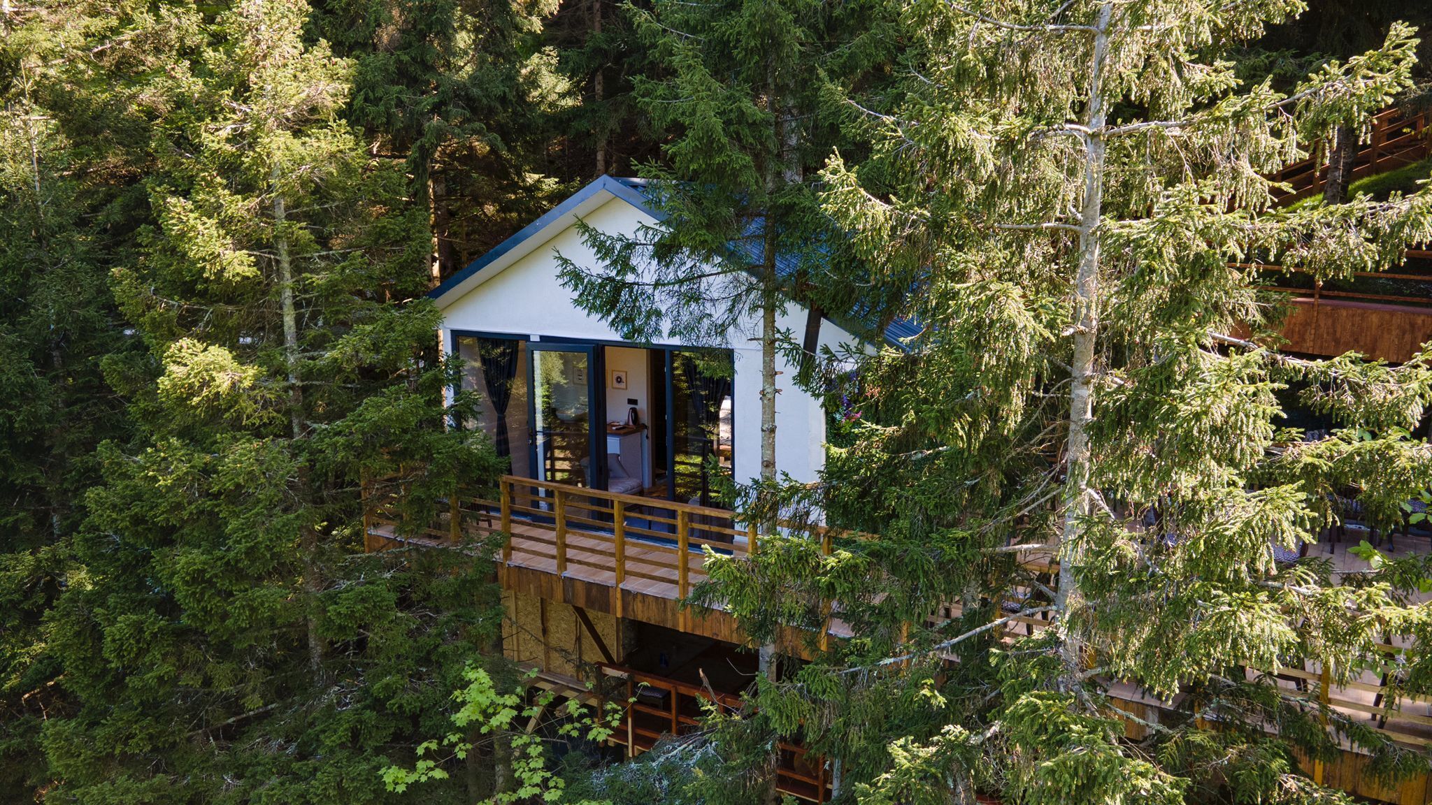 Montana Suite Bungalow