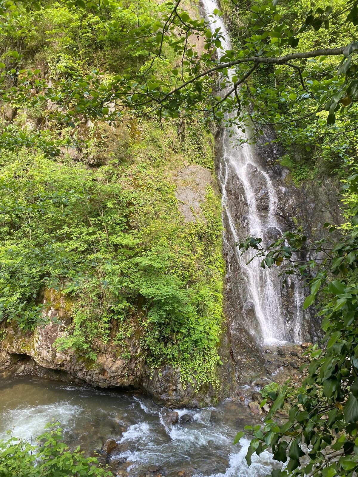 Royal Falss Tatil Köyü