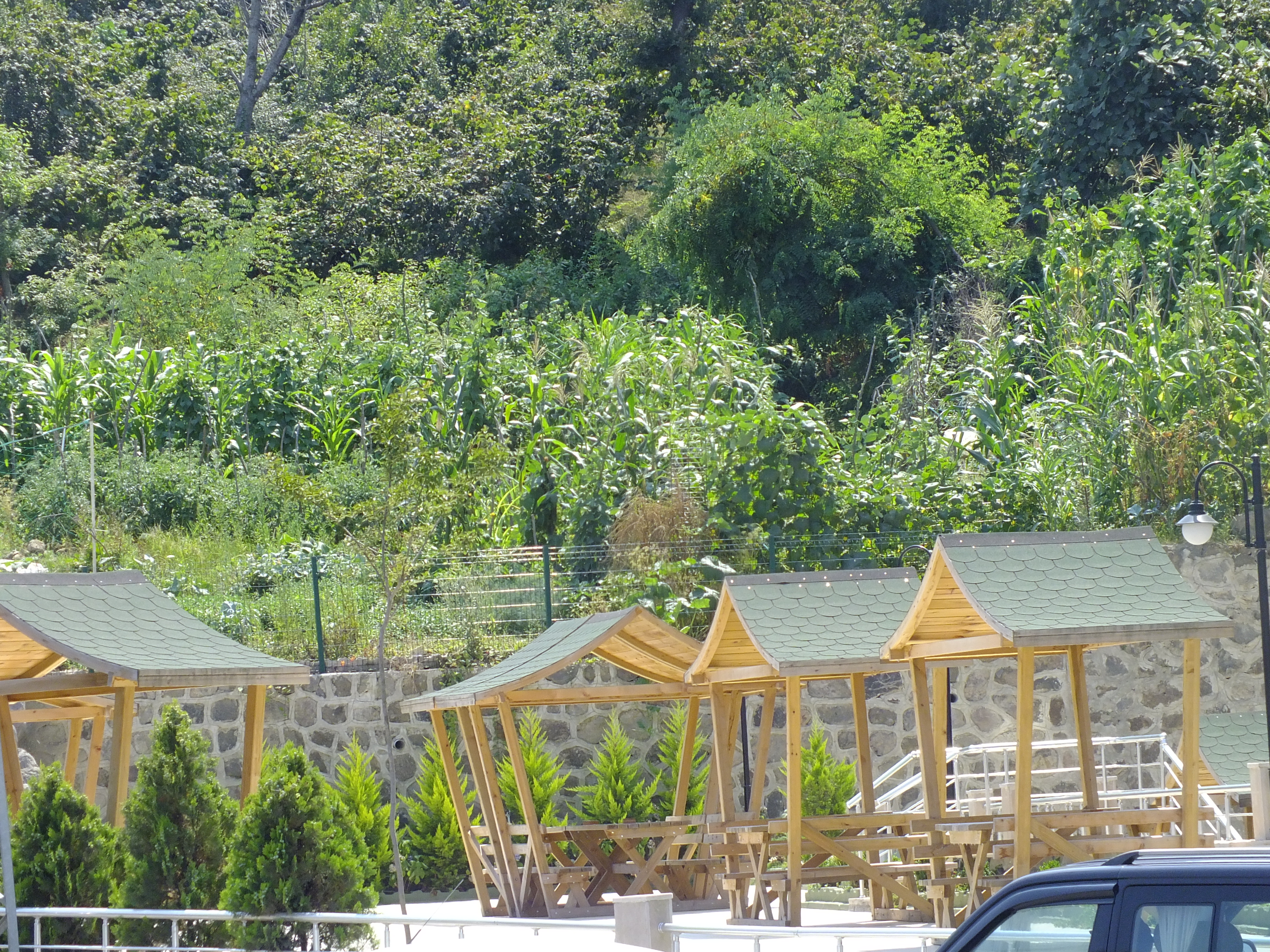 Royal Life Residence