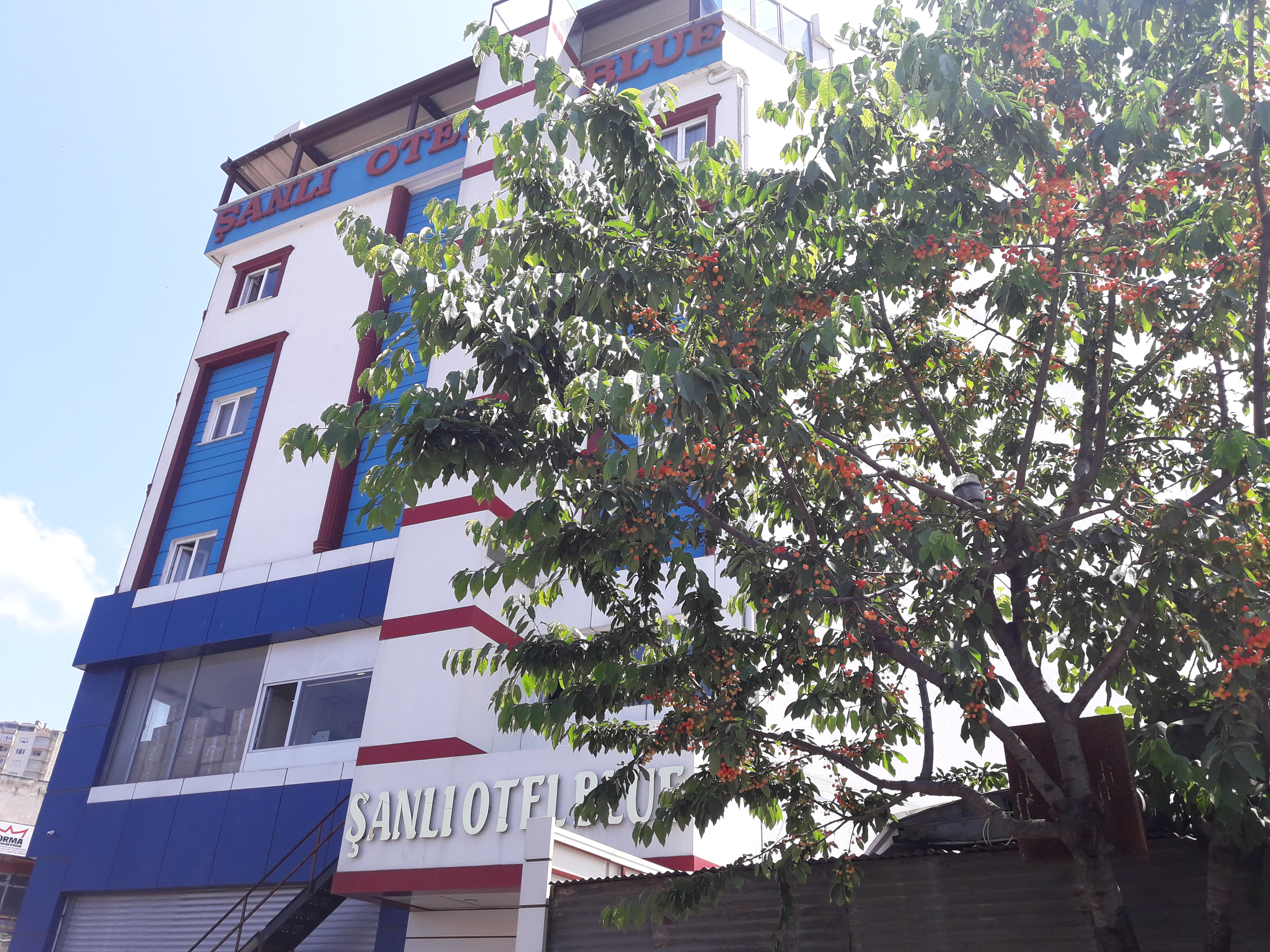 Sanli Otel Blue