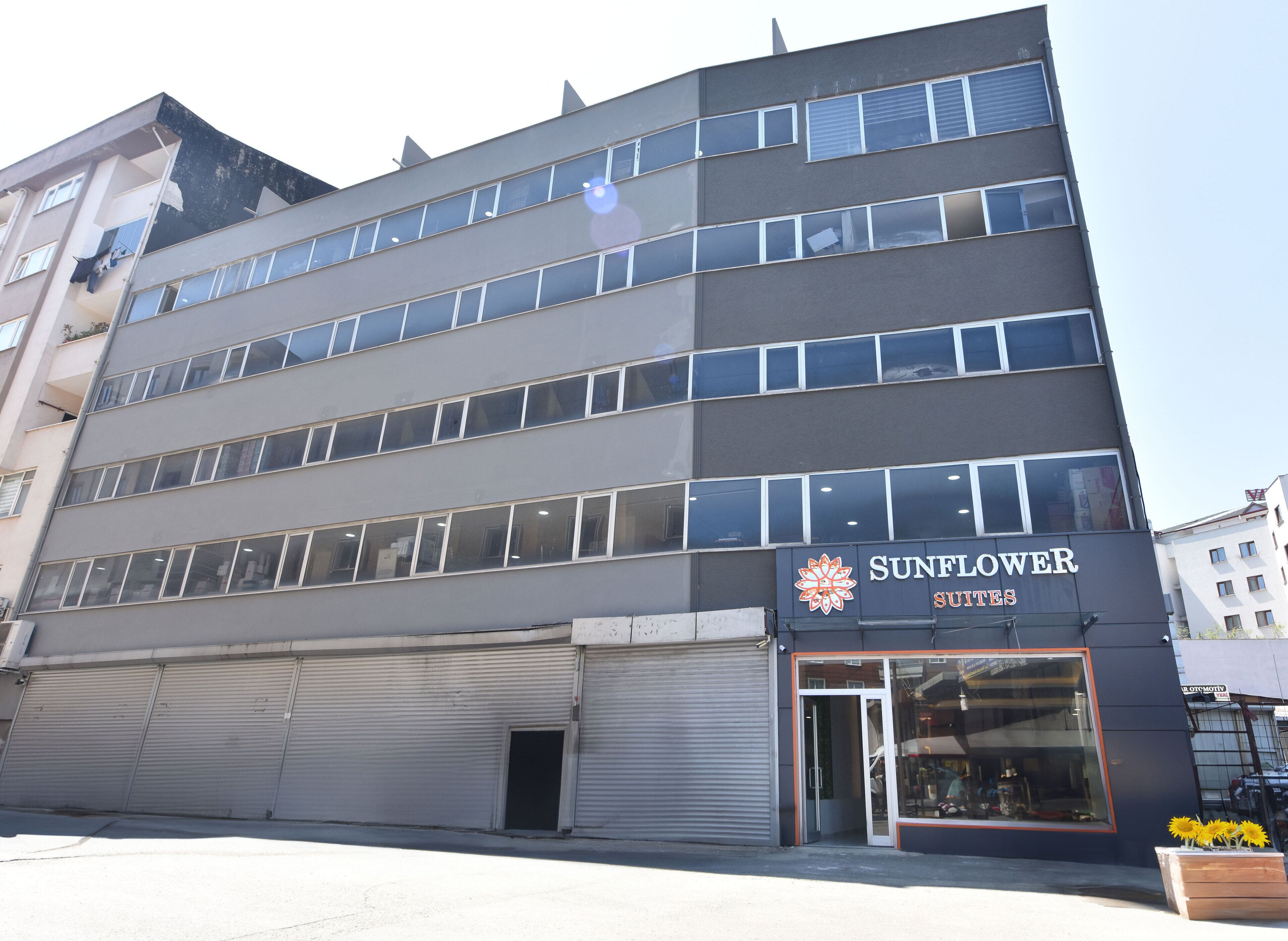 Sunflower Suites