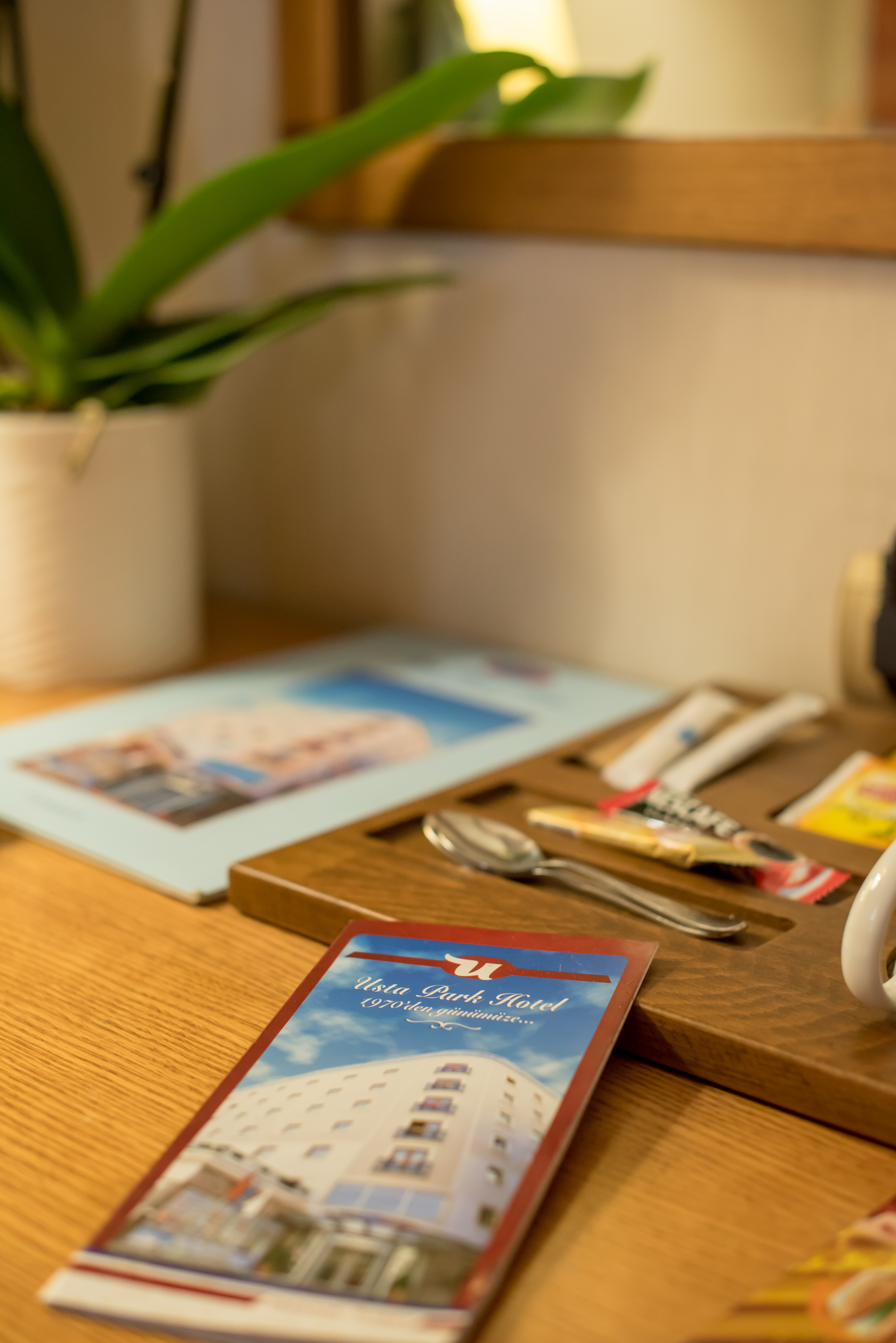 Usta Park Hotel & Spa