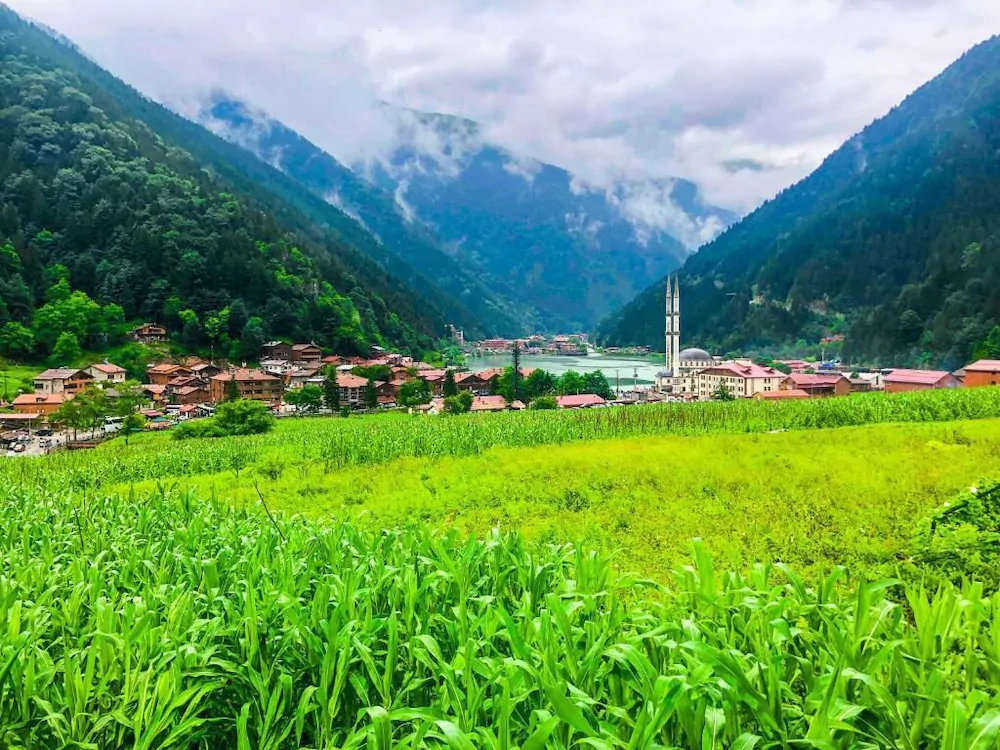 Grand Ozturk Uzungol