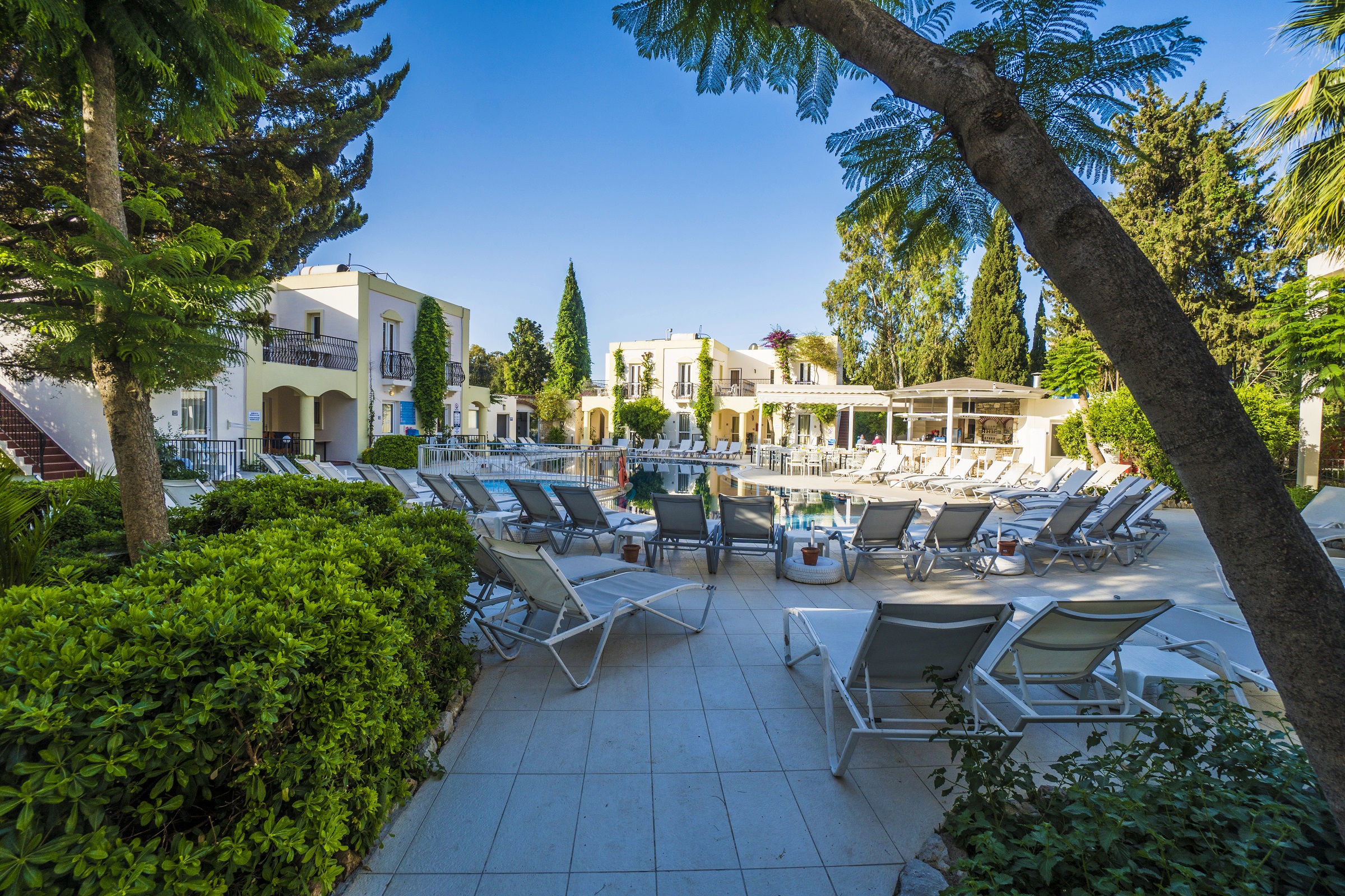 Bitez Paloma Family Club