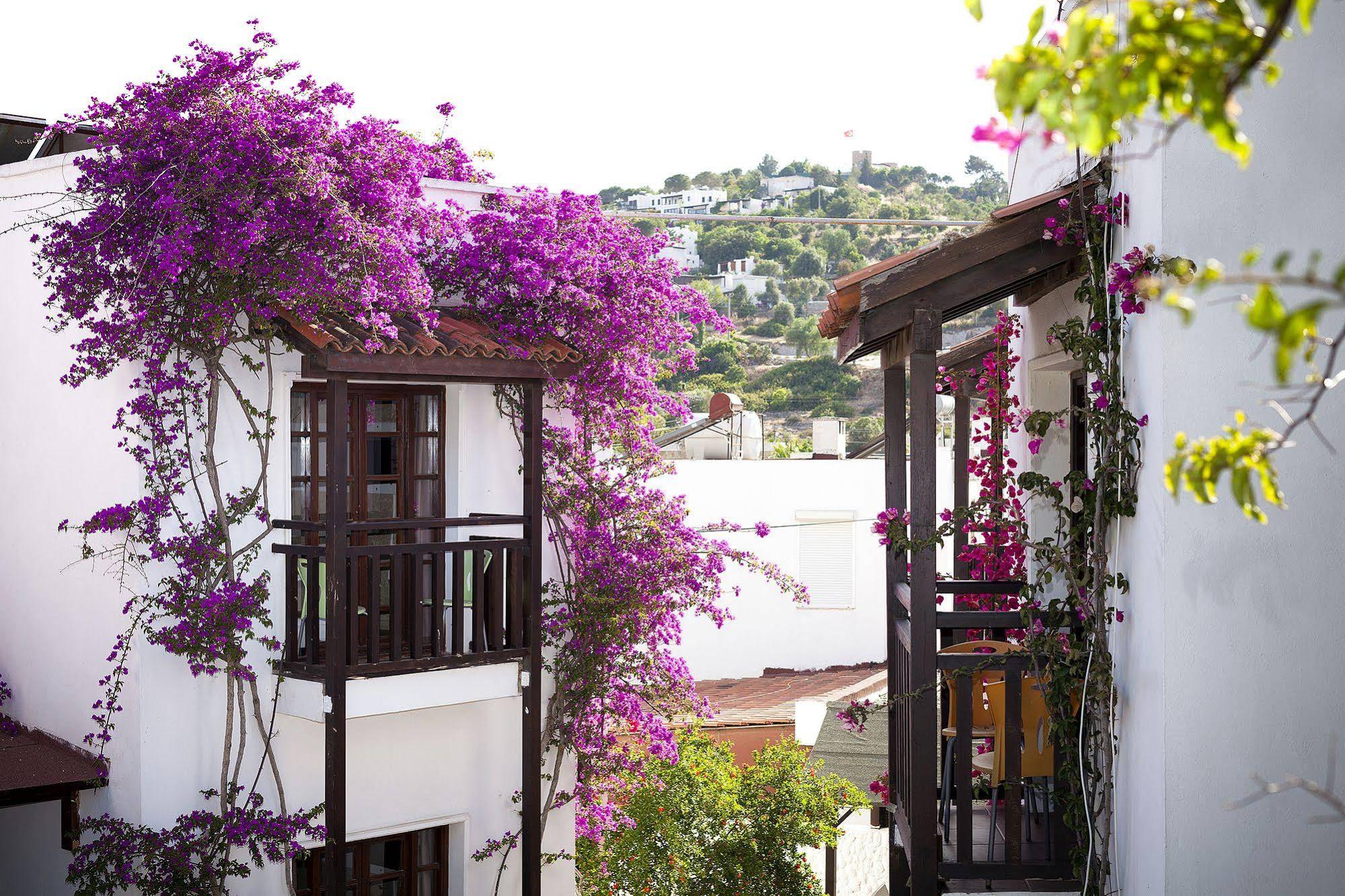 Orion Hotel
