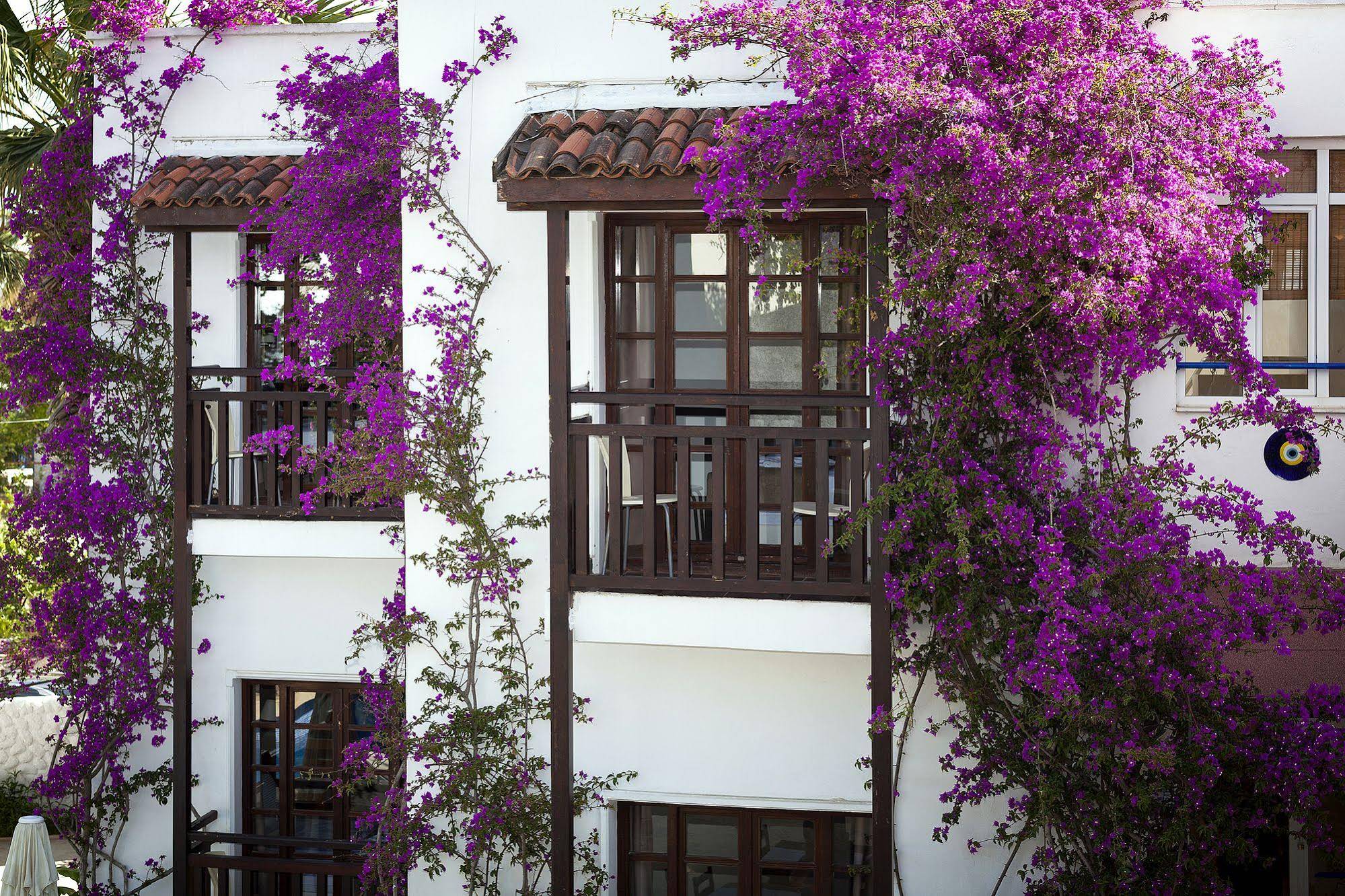 Orion Hotel