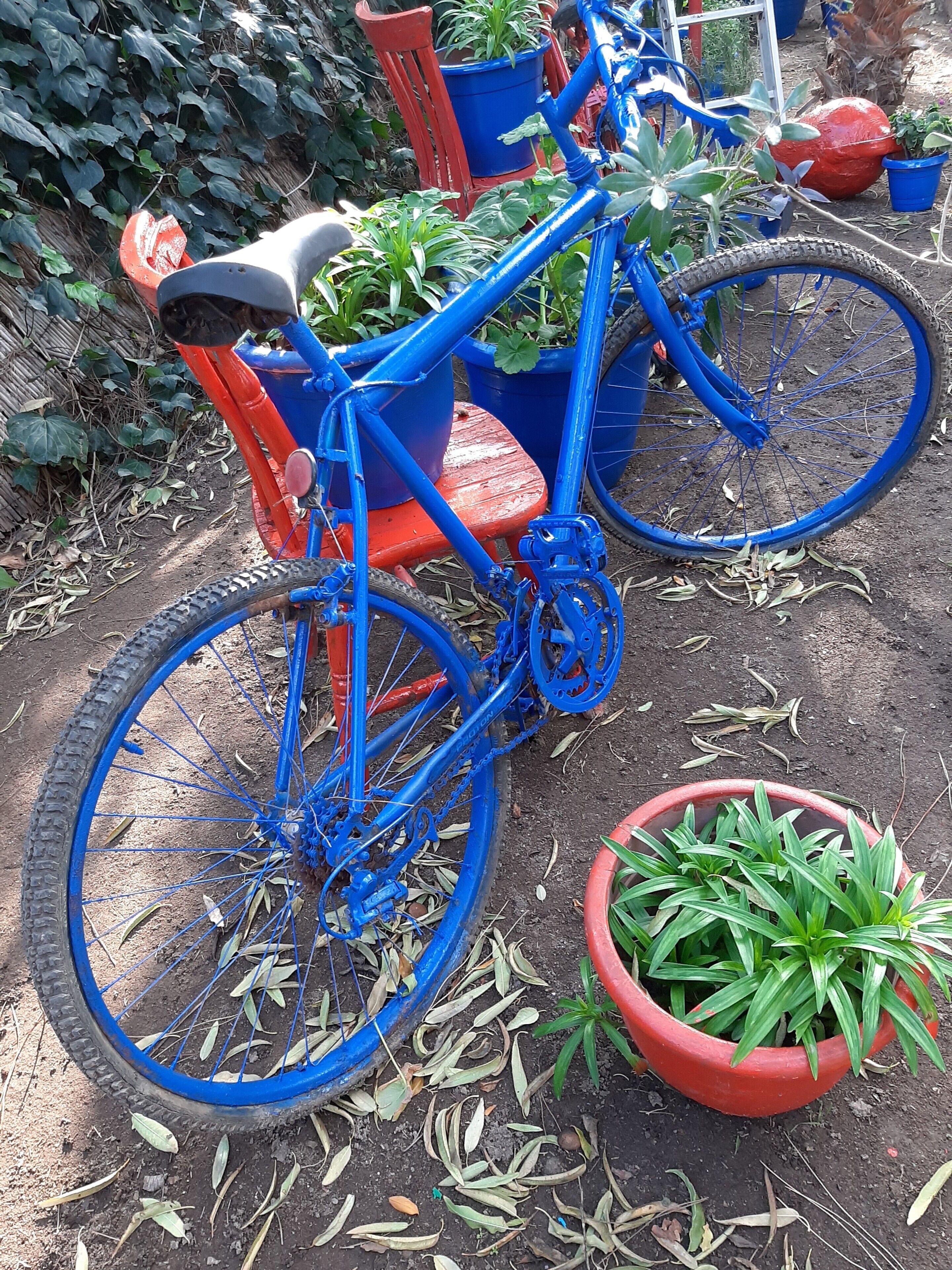 Ali’s Hotel Restaurant Beach