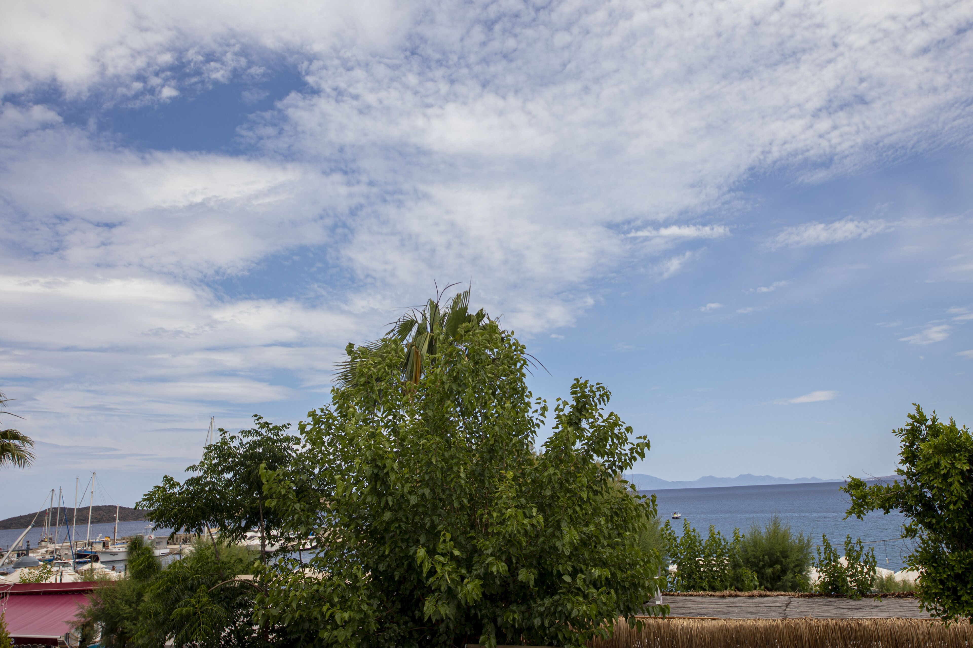 Ali’s Hotel Restaurant Beach