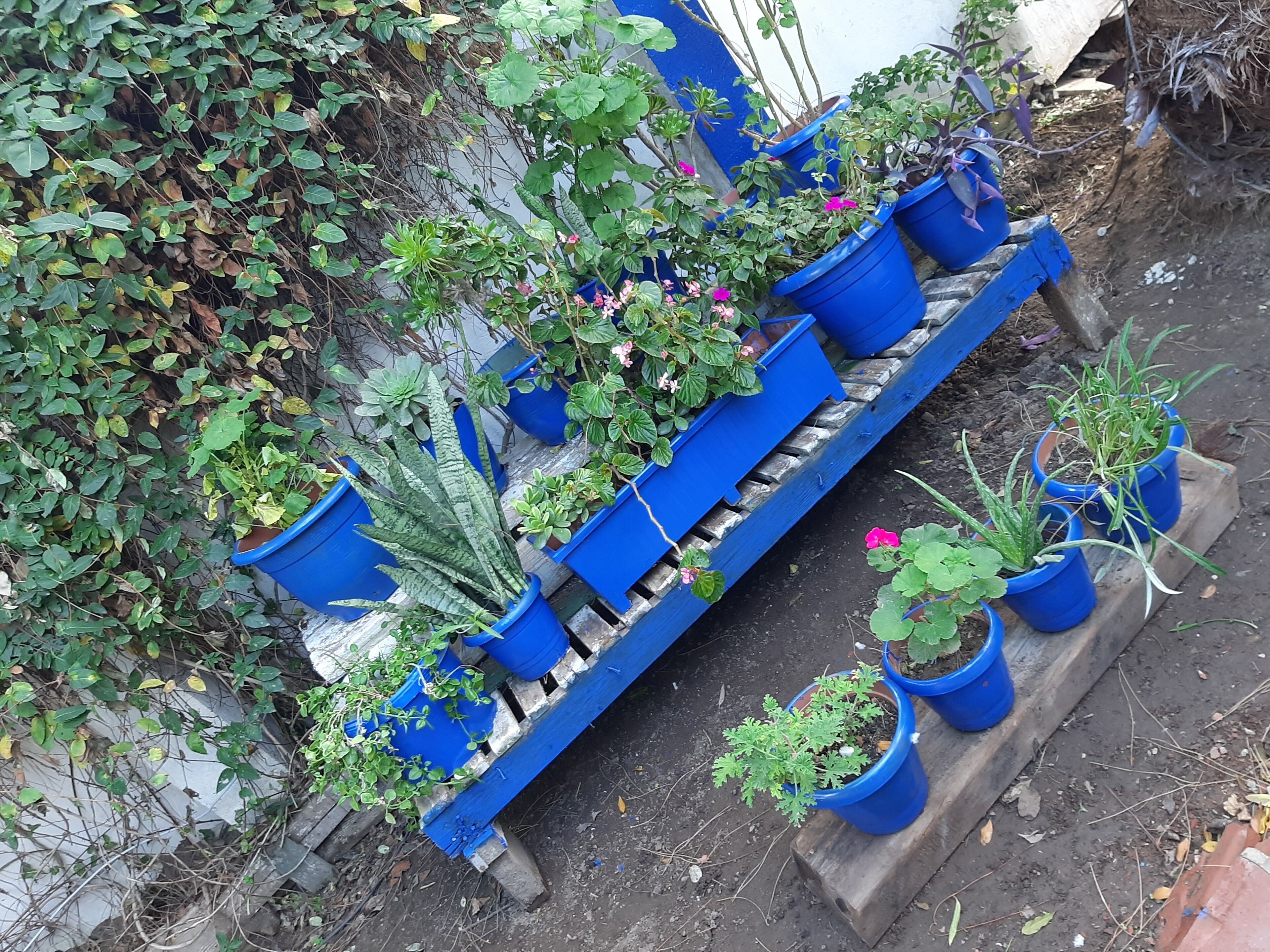 Ali’s Hotel Restaurant Beach