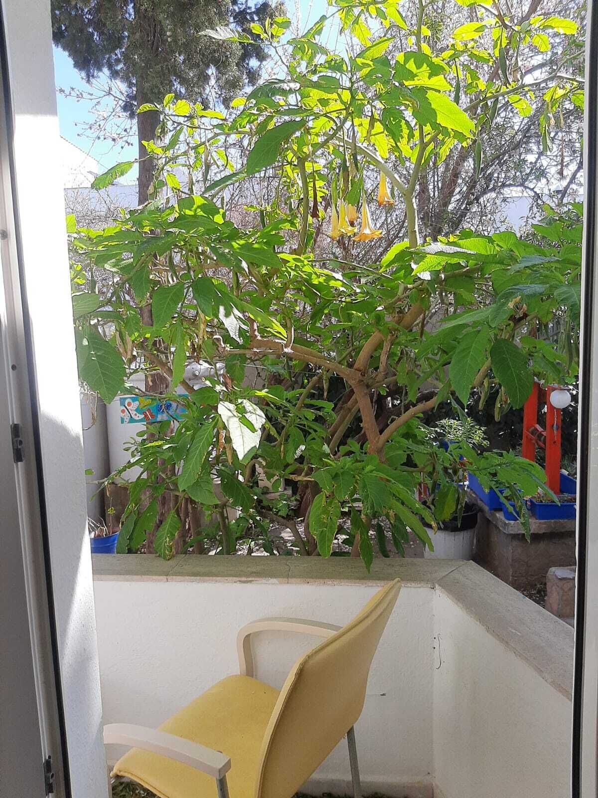 Ali’s Hotel Restaurant Beach