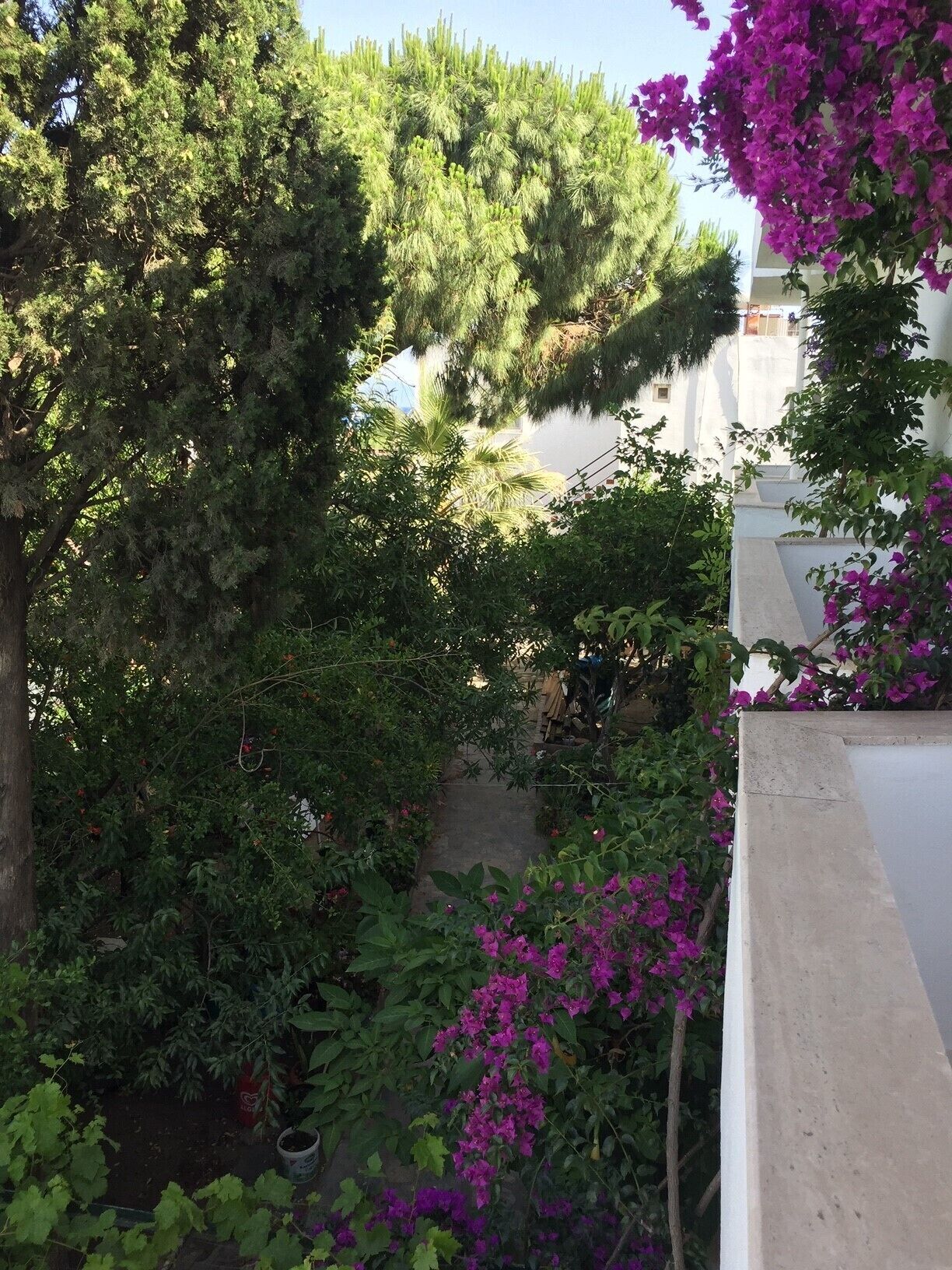 Ali’s Hotel Restaurant Beach