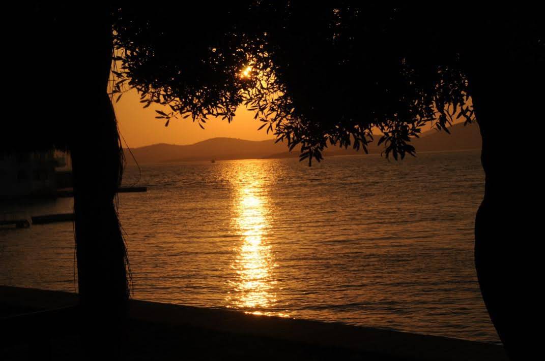 Hidden Garden Boutique Hotel