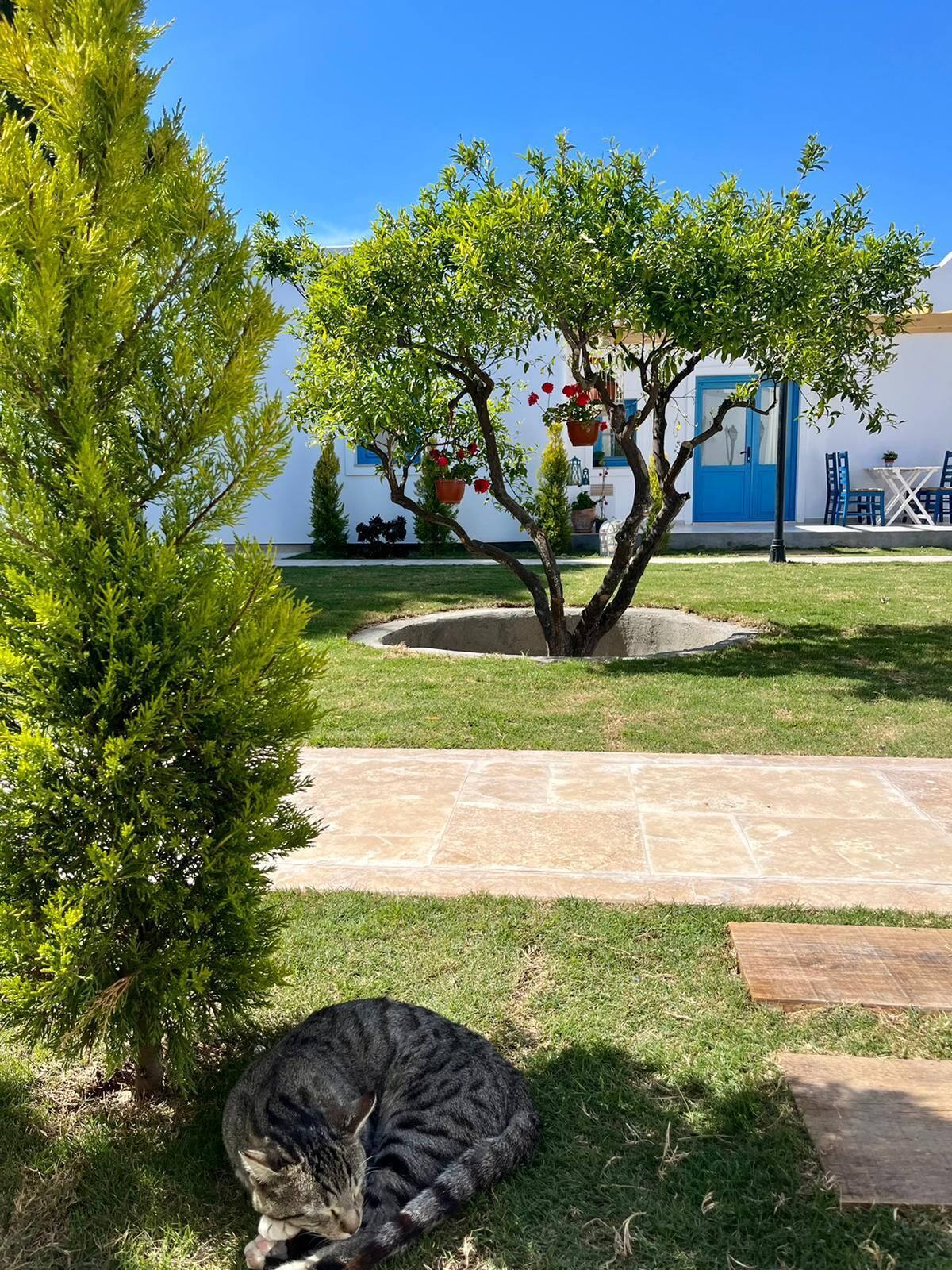 Jakaranda Unique Apart