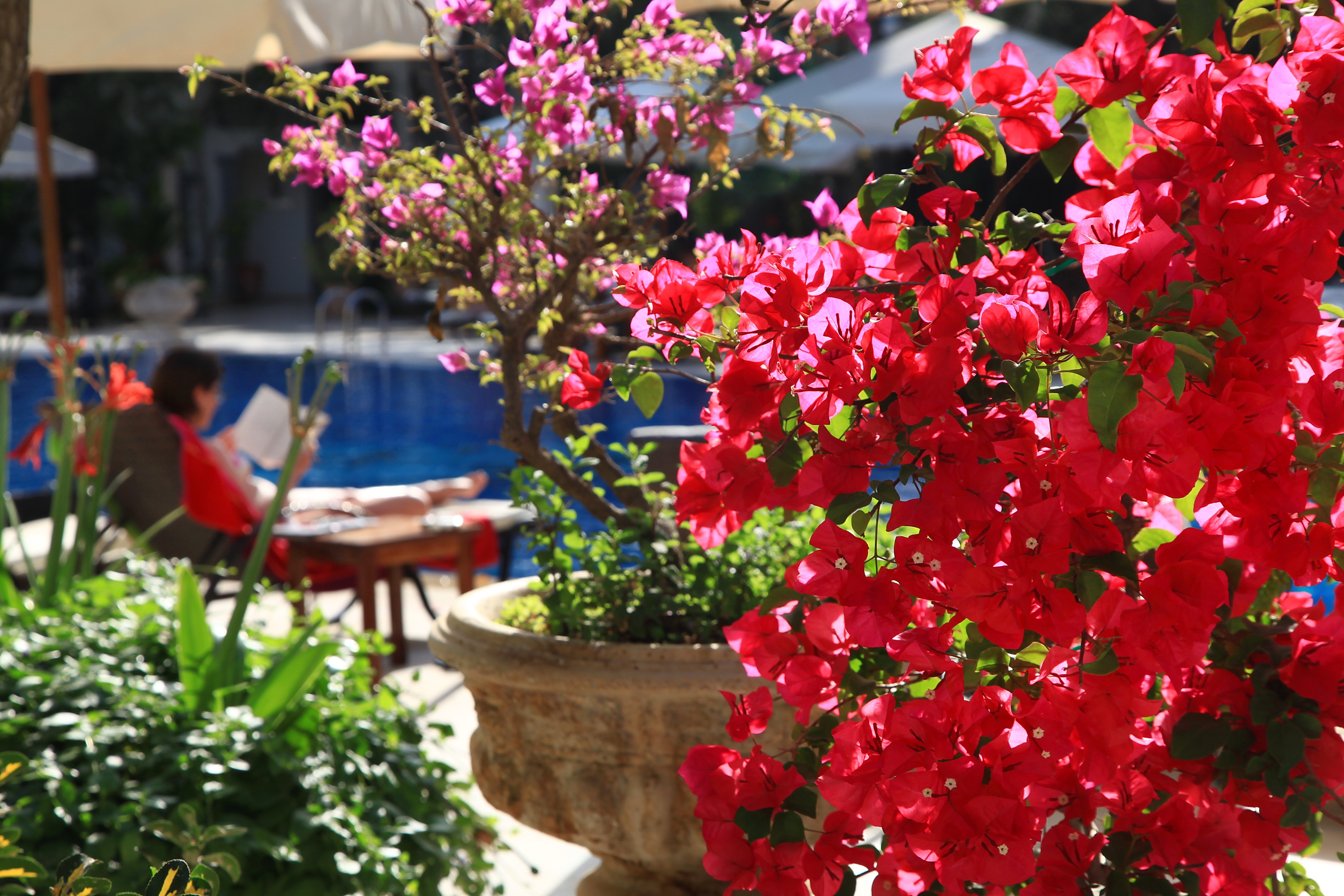 DoubleTree by Hilton Bodrum Marina Vista