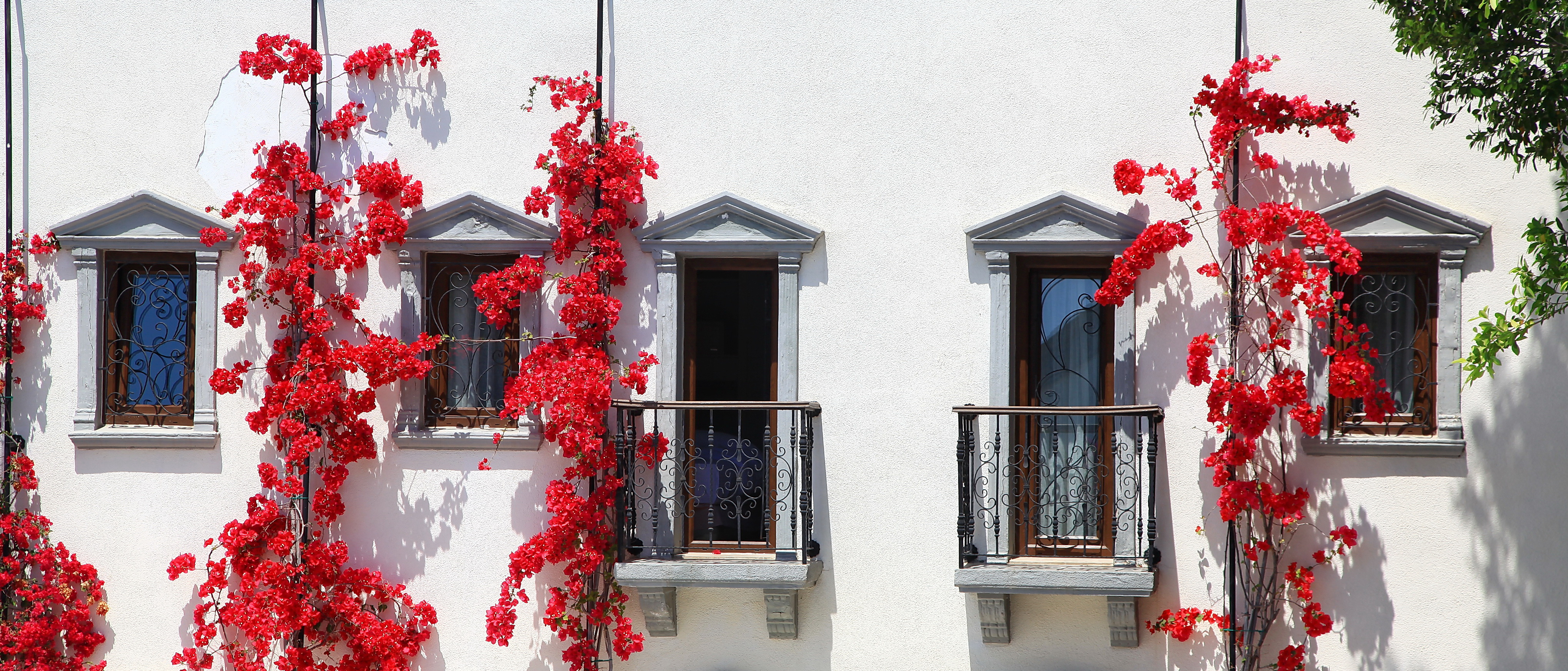 DoubleTree by Hilton Bodrum Marina Vista