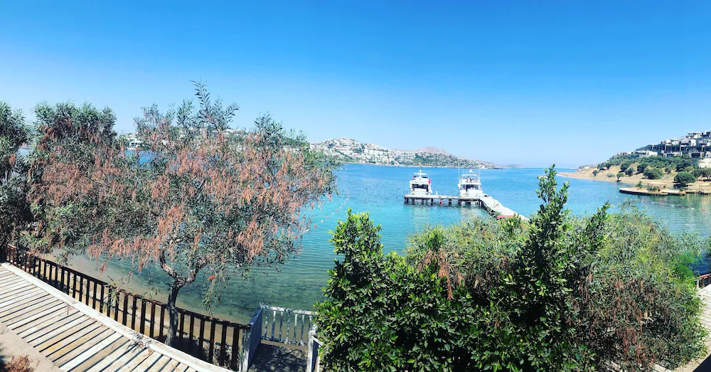 Tilkicik Yali Daireleri