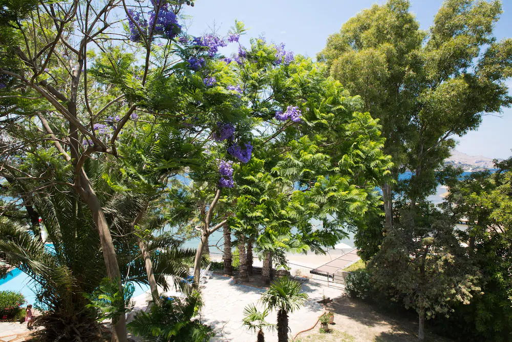 Tilkicik Yali Daireleri