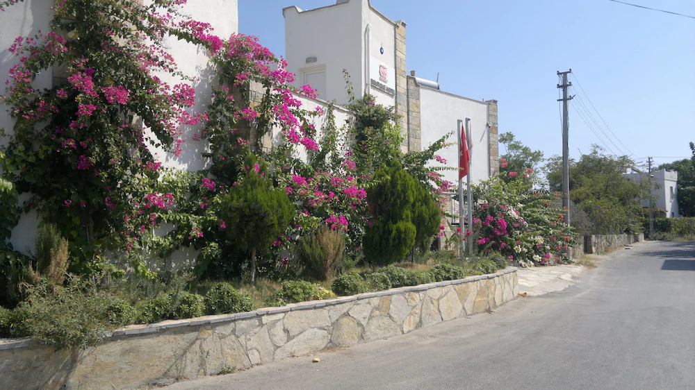 Cotton Boutique Hotel