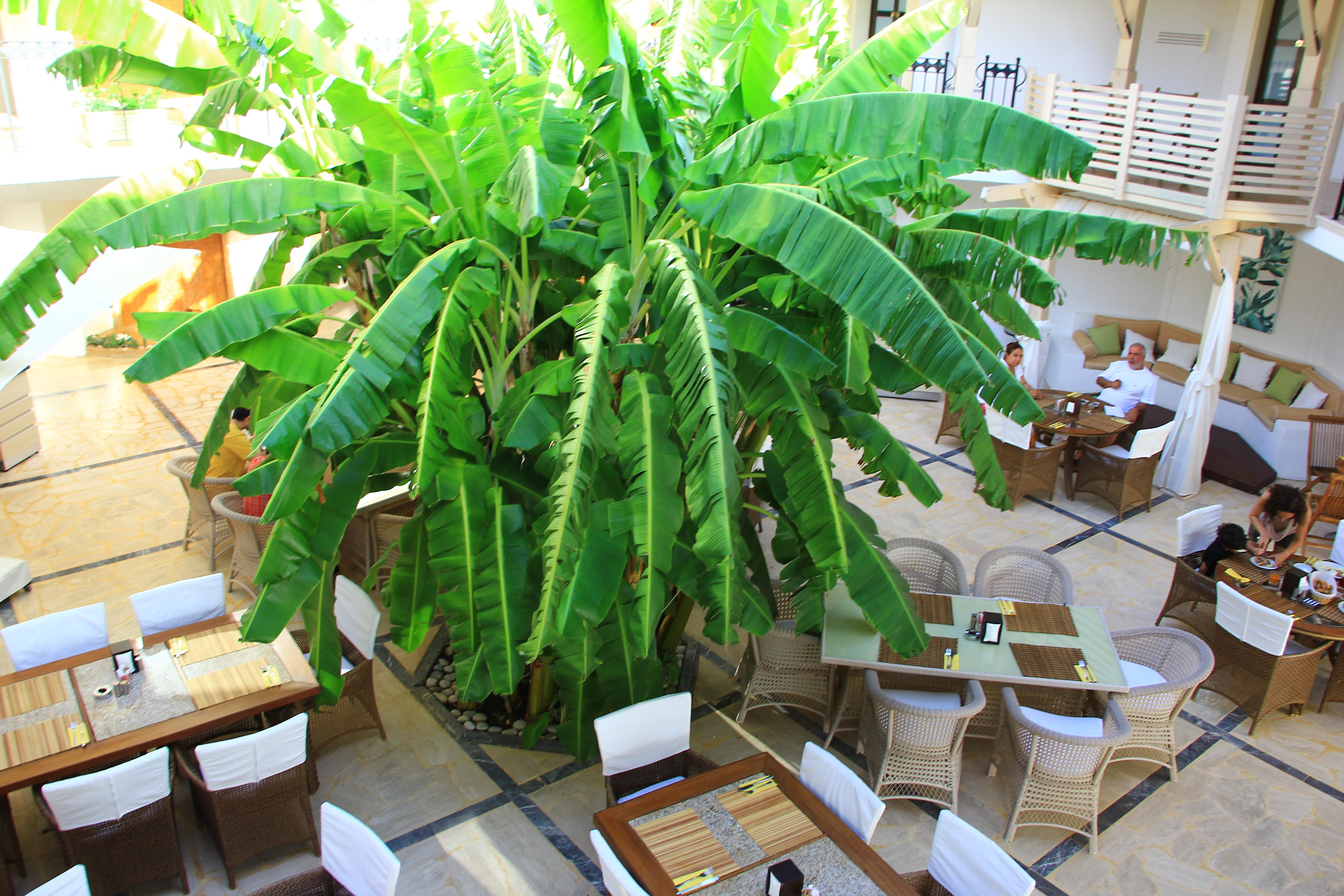 TorbaHan Hotel