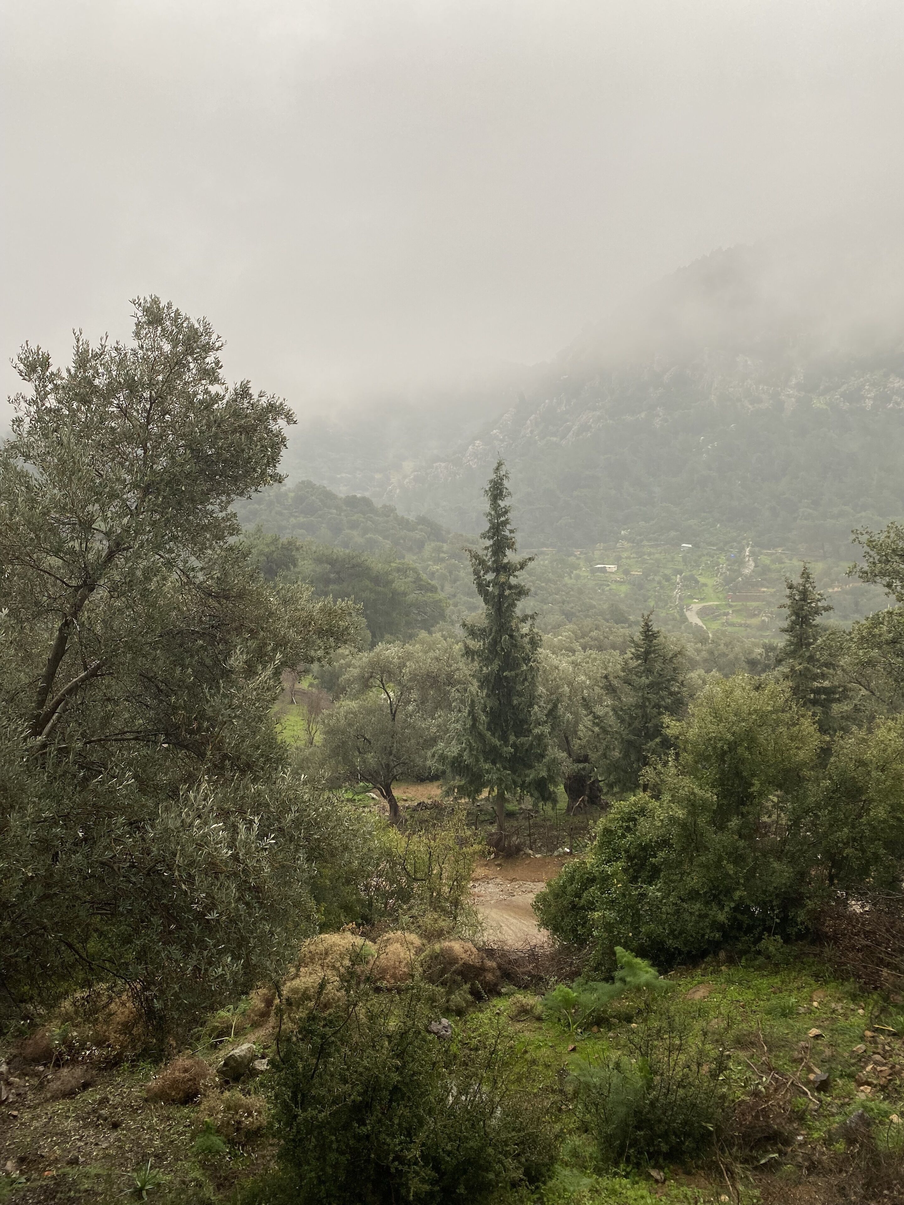 Five Senses Bodrum Glamping