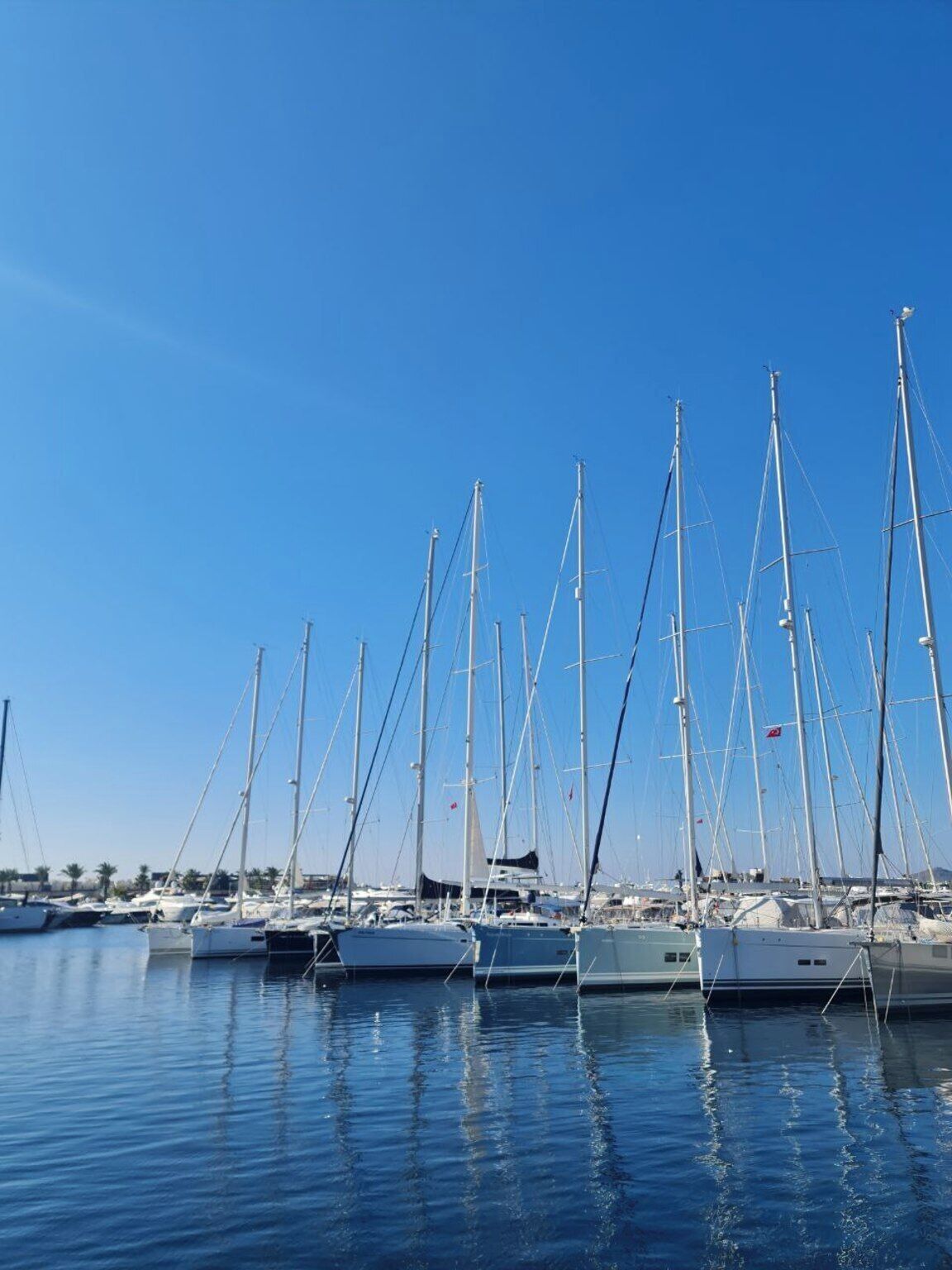 Yalikavak Natural Garden Tiny House