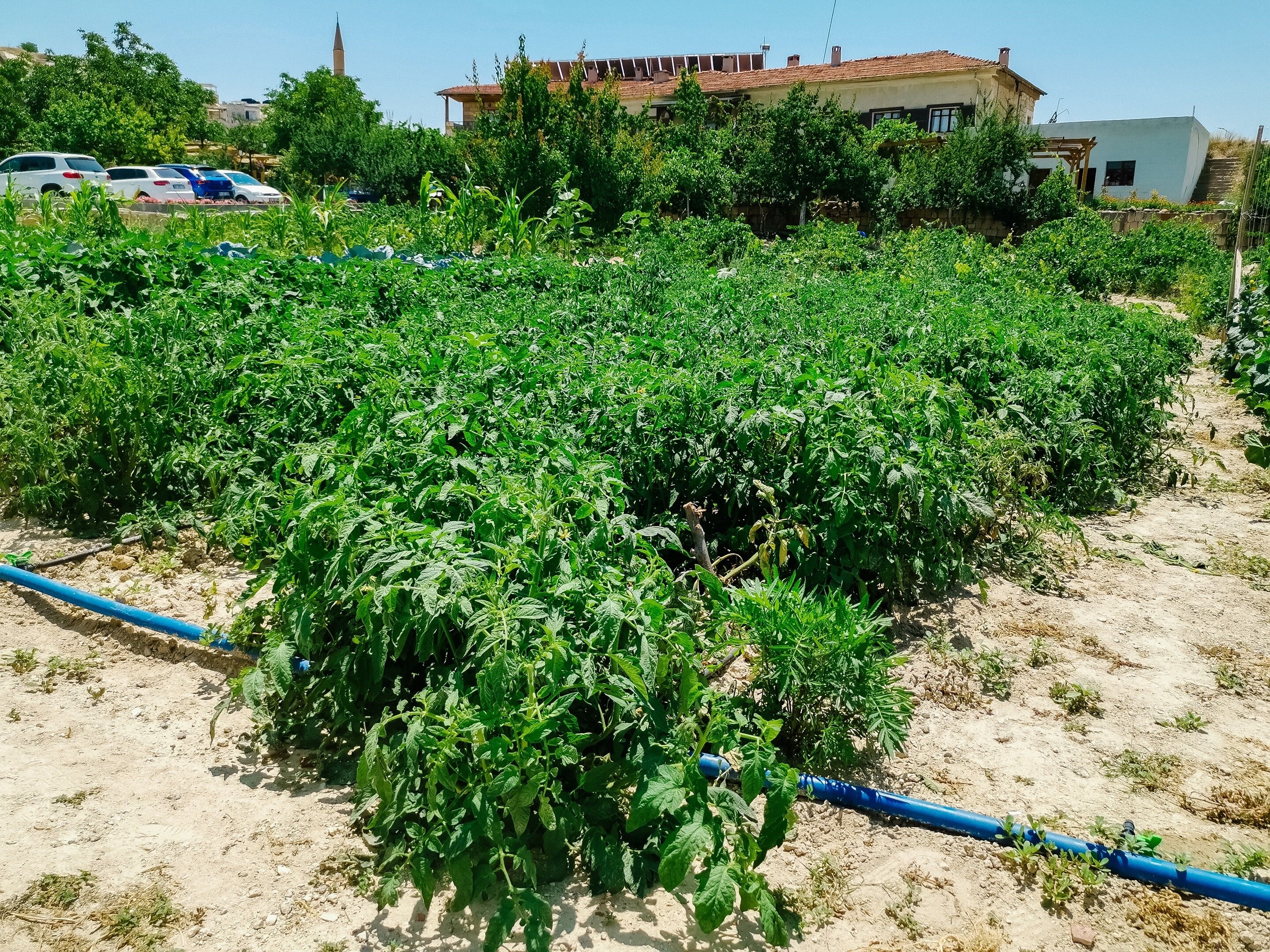 Garden Inn Cappadocia