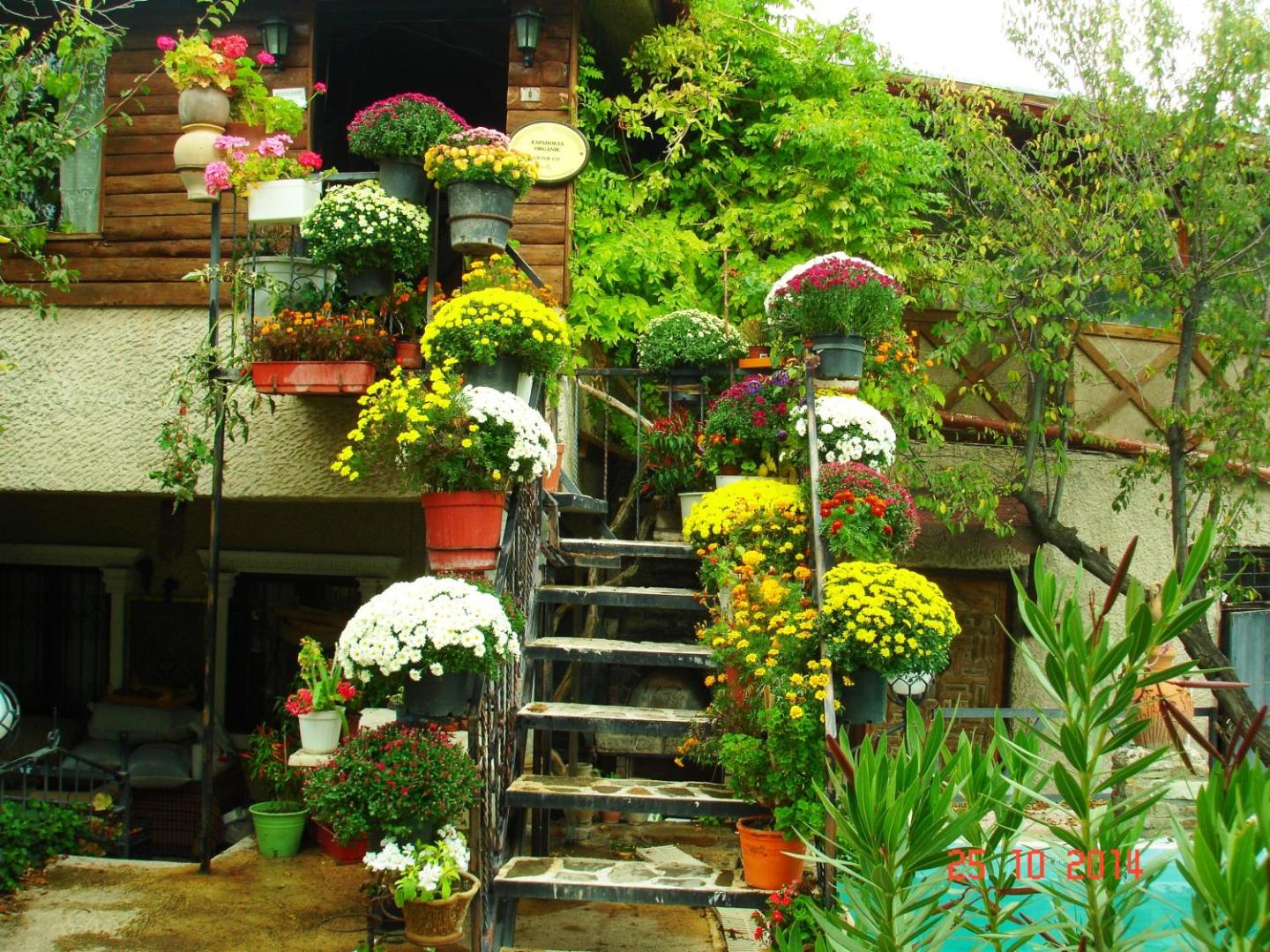 Kapadokya Organik Ciftlik Evi