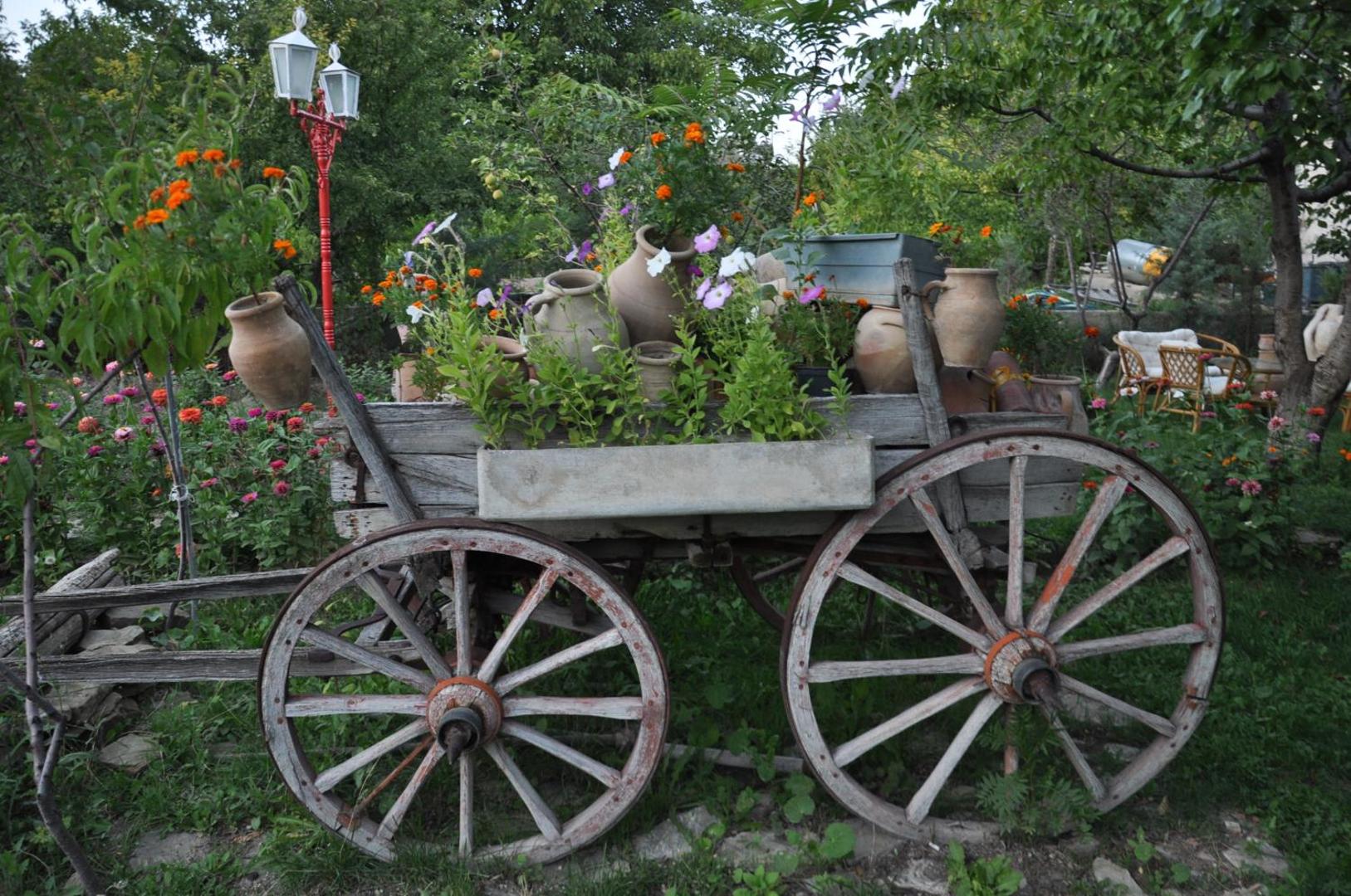 Kapadokya Organik Ciftlik Evi