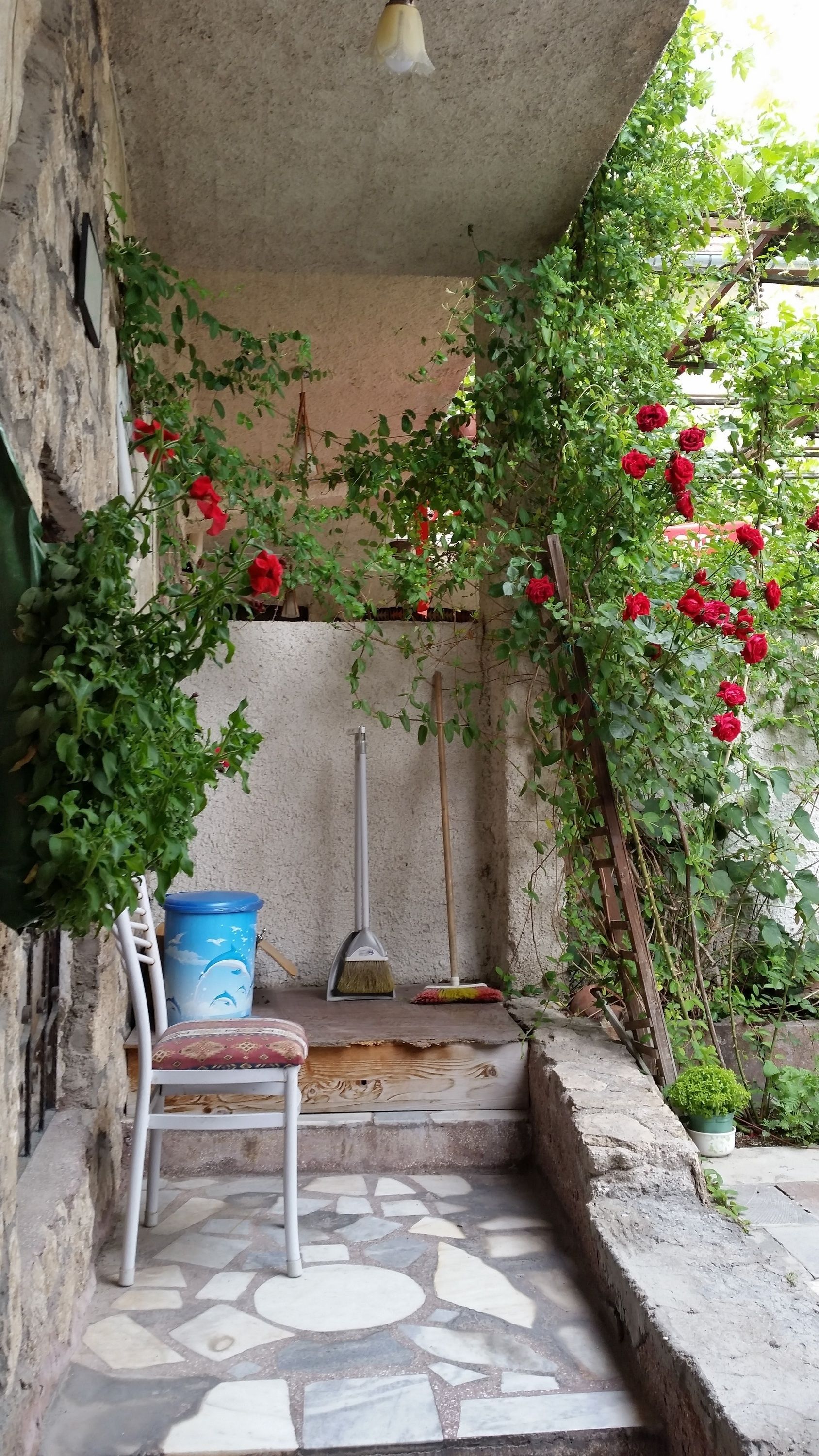 Anatolia Cave Hotel & Pension