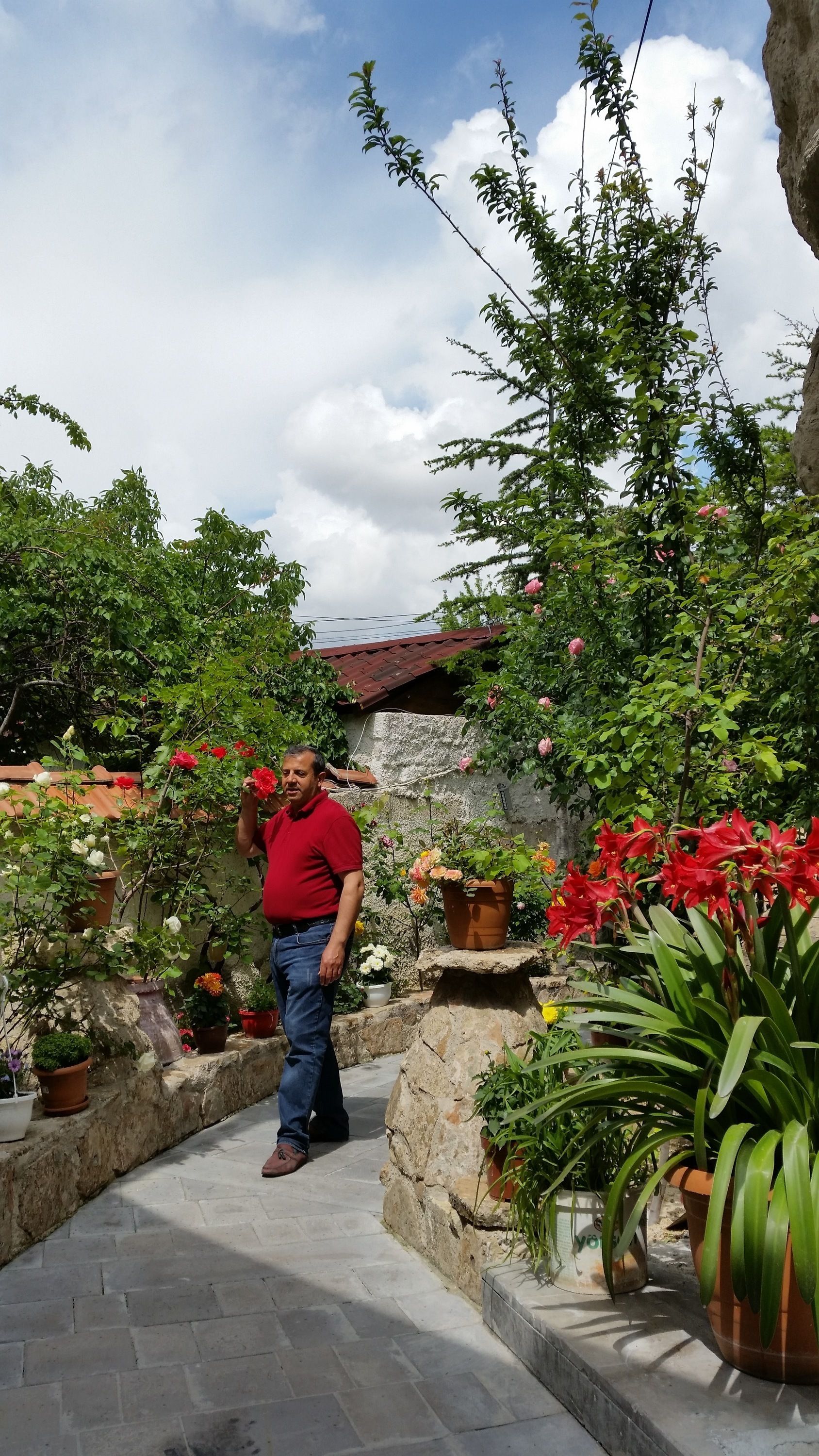 Anatolia Cave Hotel & Pension