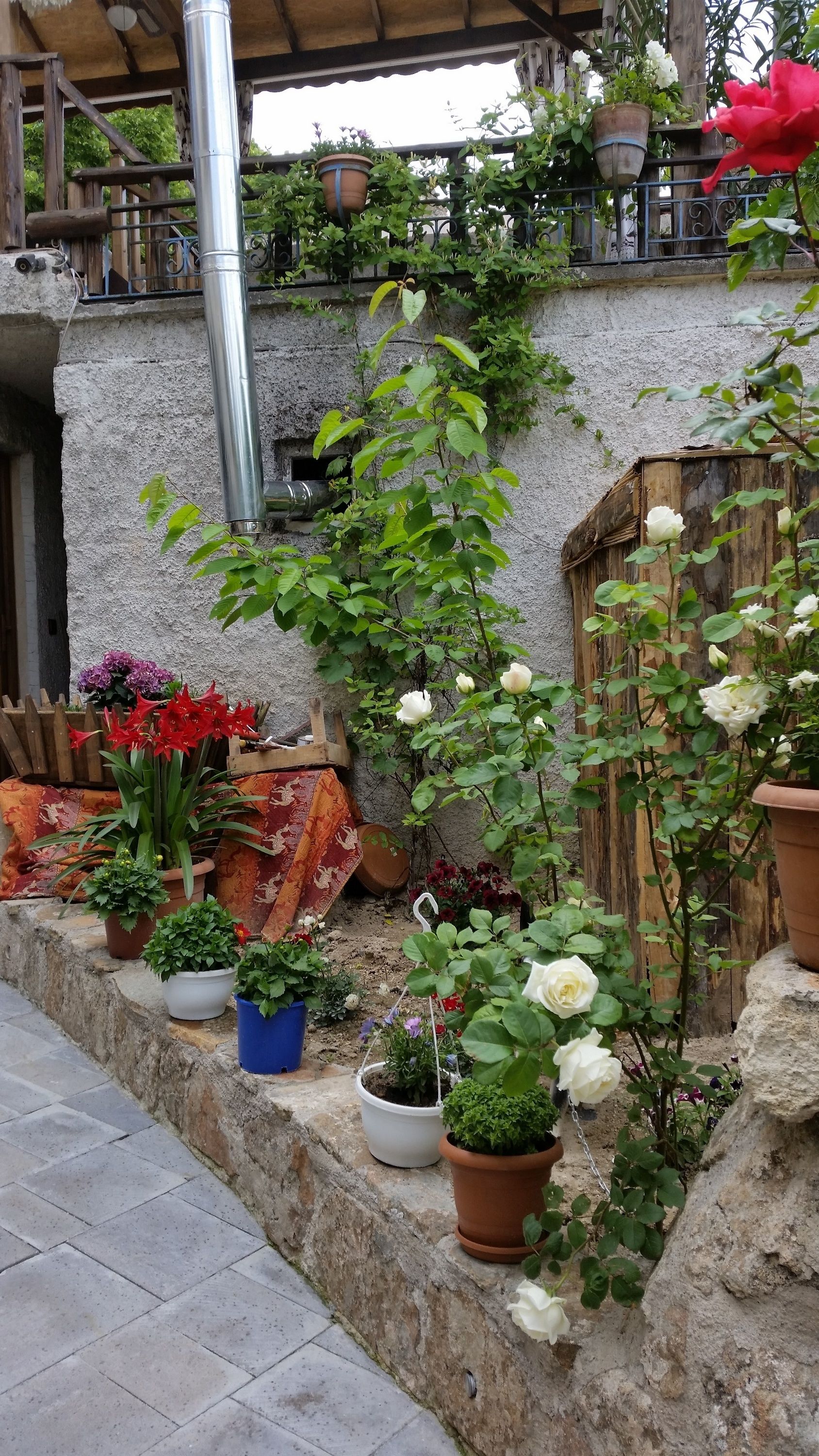 Anatolia Cave Hotel & Pension