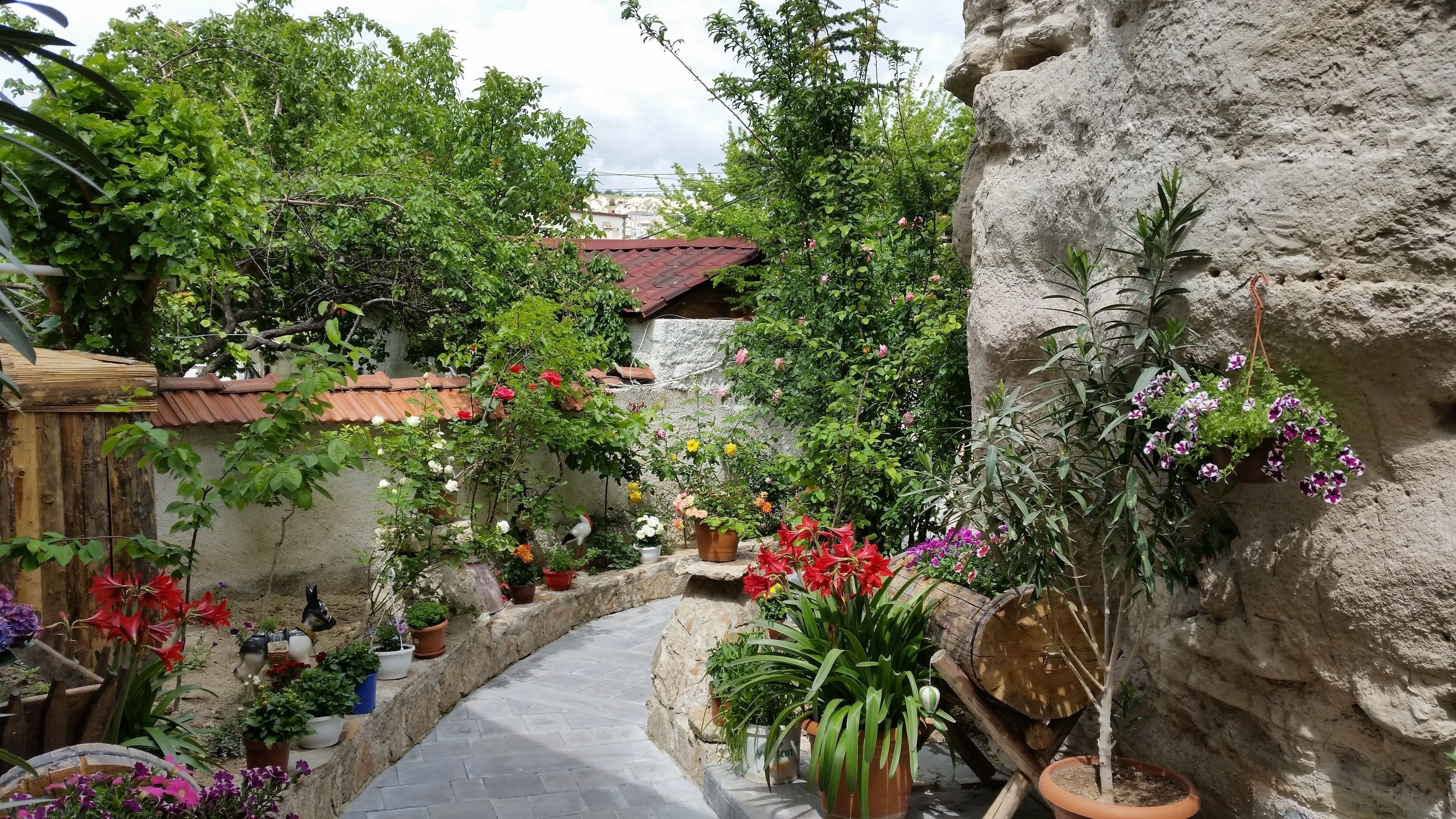 Anatolia Cave Hotel & Pension