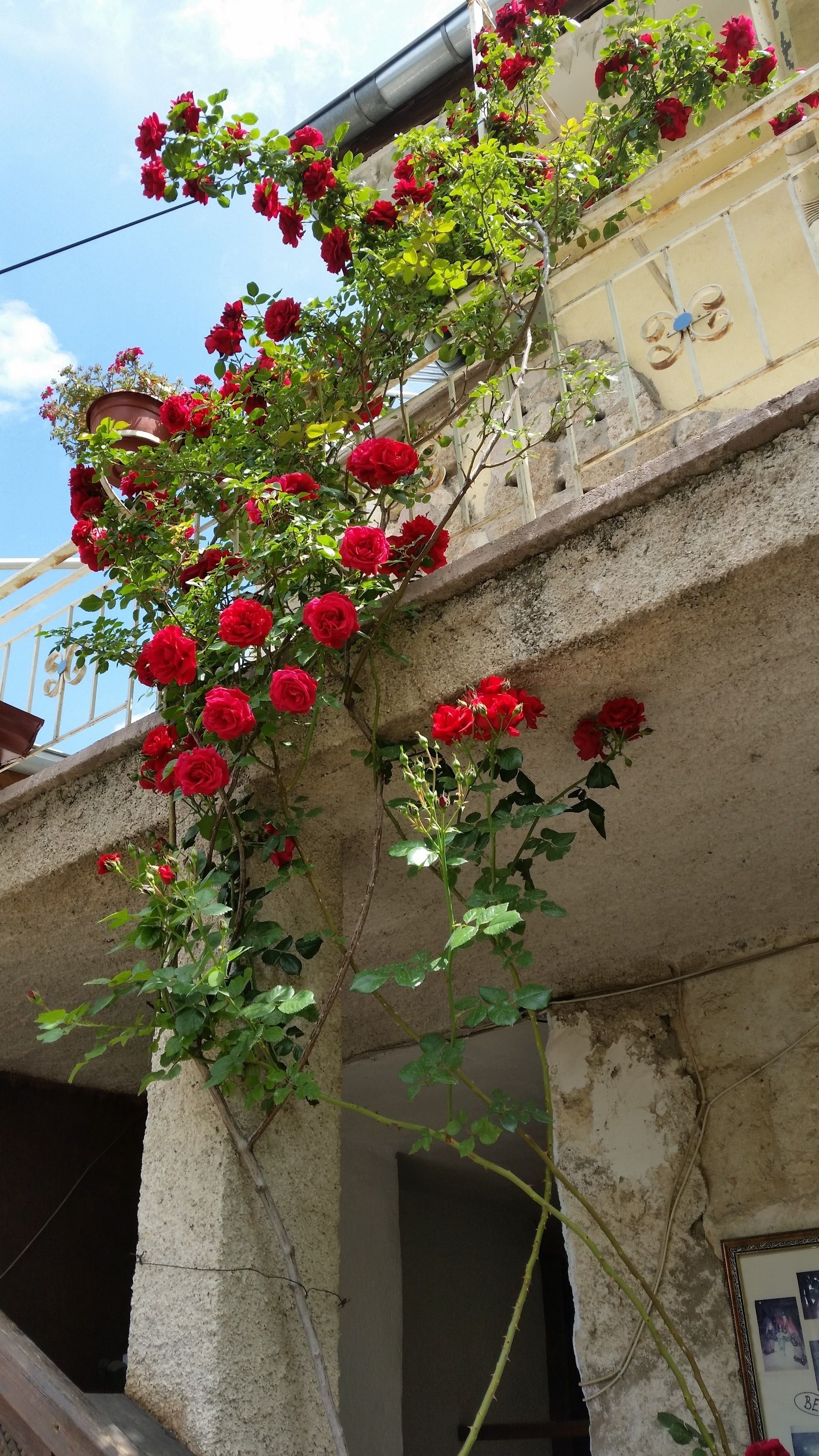 Anatolia Cave Hotel & Pension