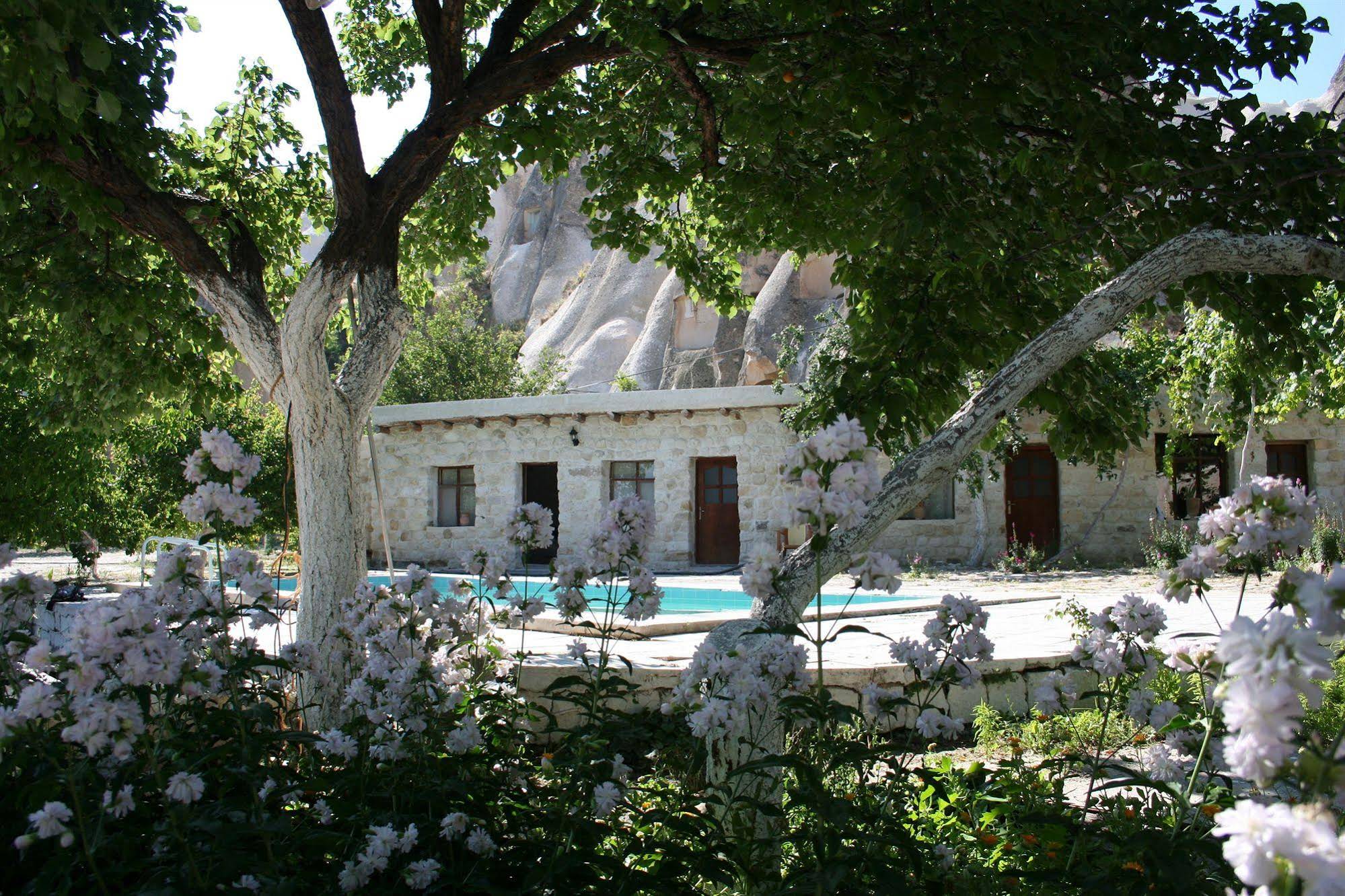 Nirvana Cave